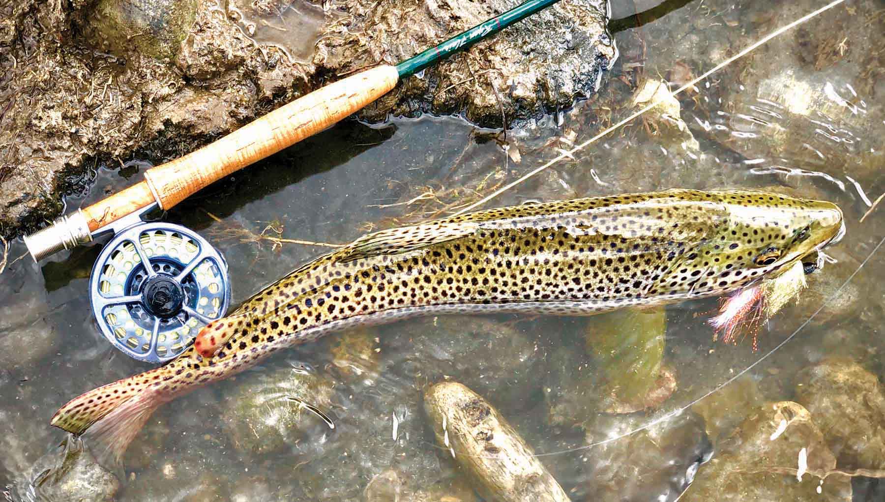 Rey Spring Creek Ranch property picture 21 of 30