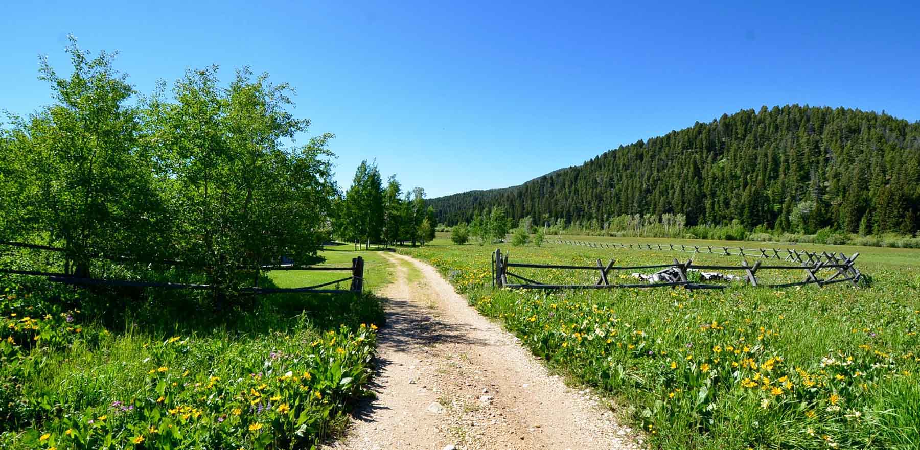 Upper Sawmill Creek Ranch property picture 12 of 58