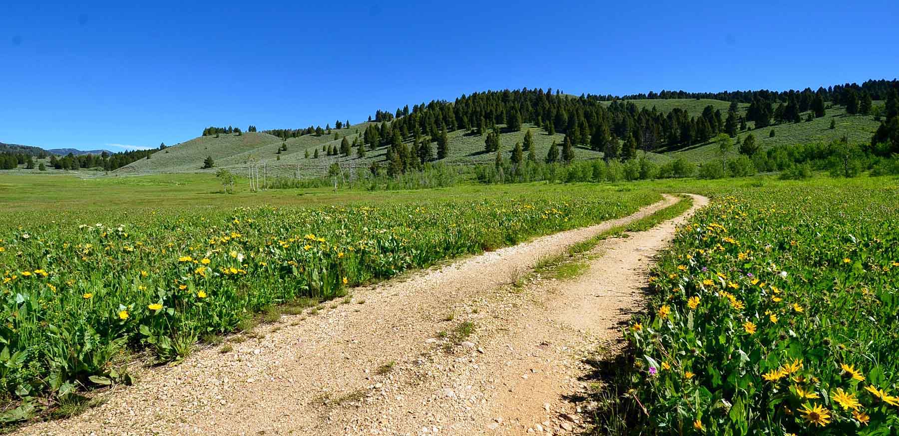 Upper Sawmill Creek Ranch property picture 11 of 58