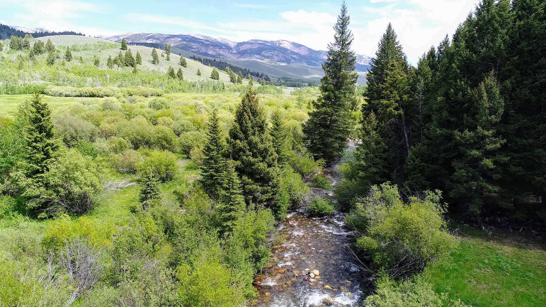 Upper Sawmill Creek Ranch property picture 9 of 58