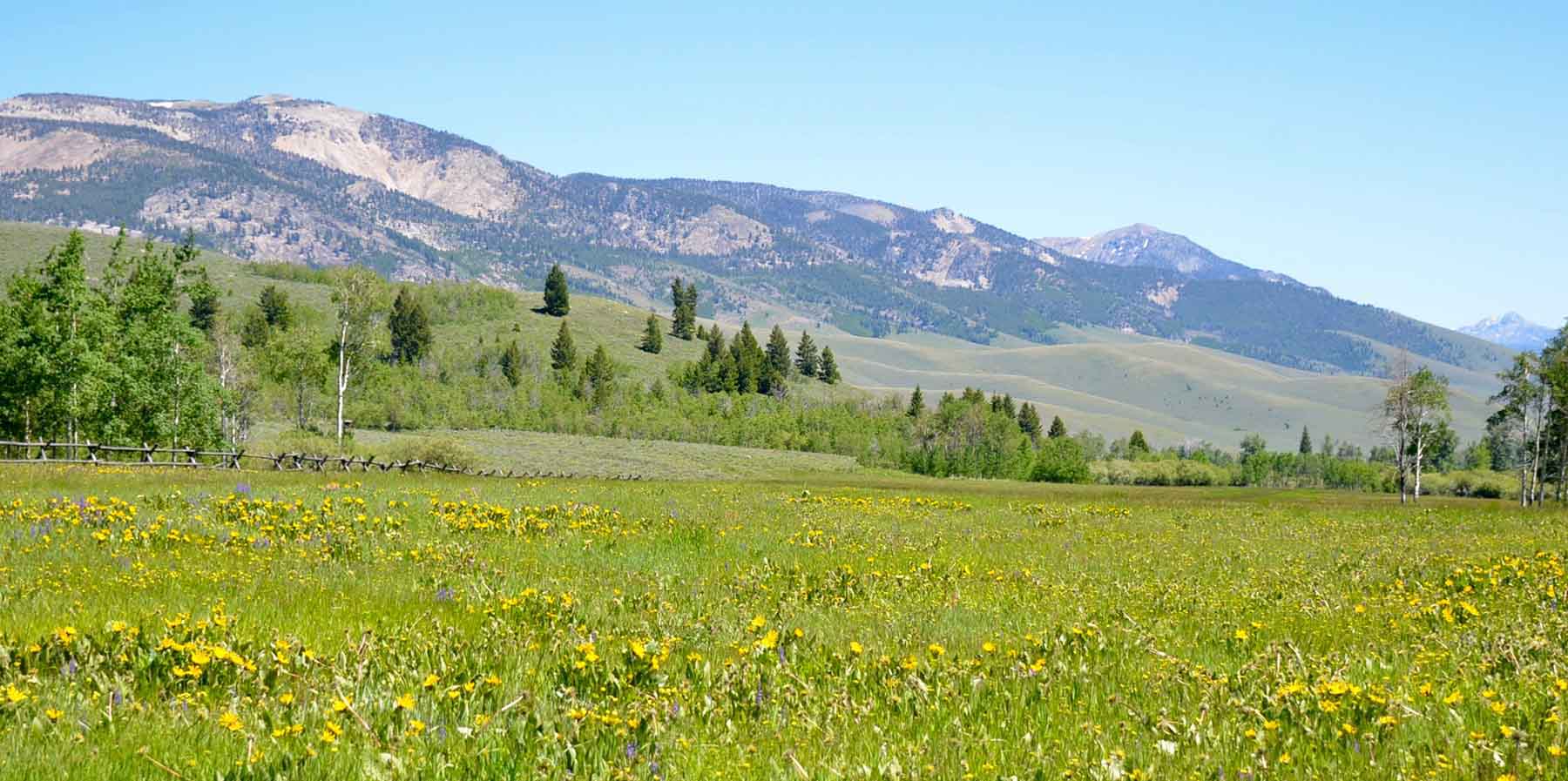 Upper Sawmill Creek Ranch property picture 5 of 58