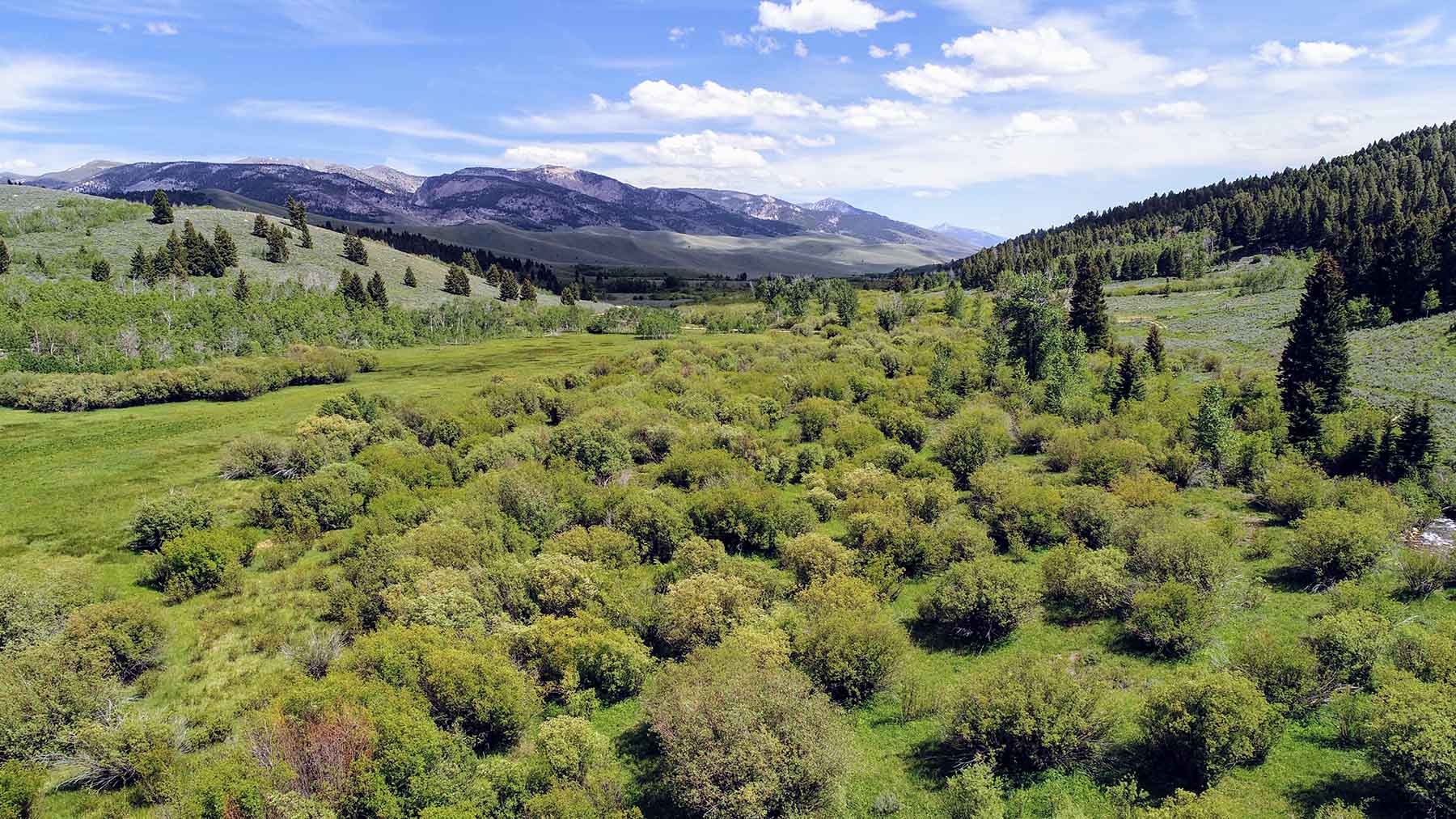 Upper Sawmill Creek Ranch property picture 2 of 58