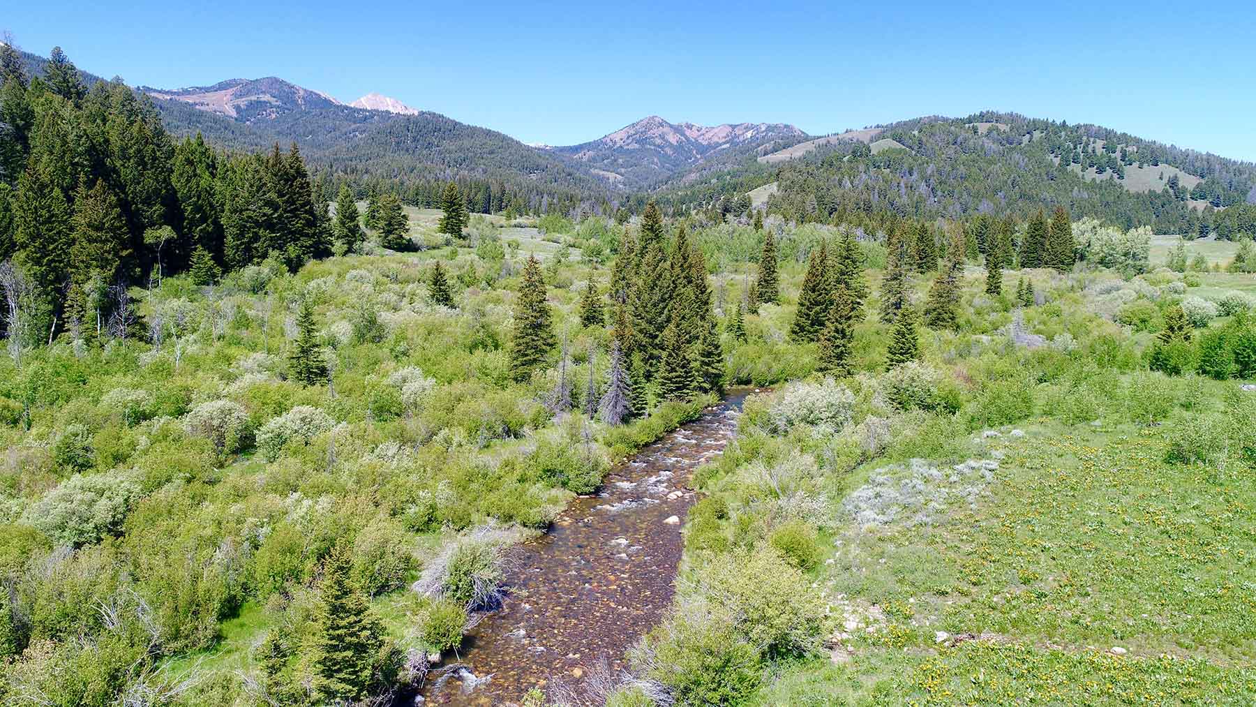 Upper Sawmill Creek Ranch property picture 49 of 58