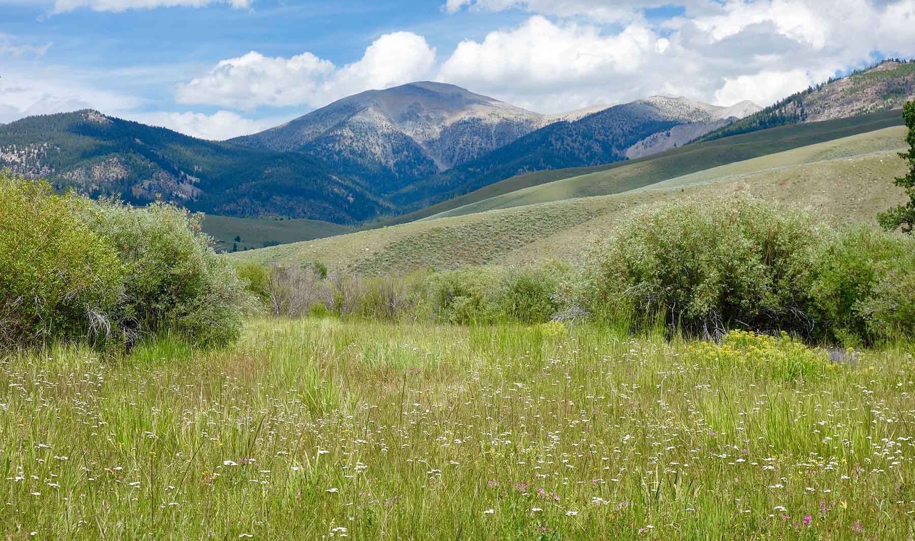 Lower Sawmill Creek Ranch property picture 8 of 26