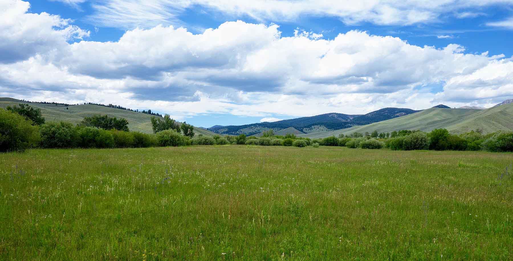 Lower Sawmill Creek Ranch property picture 21 of 26