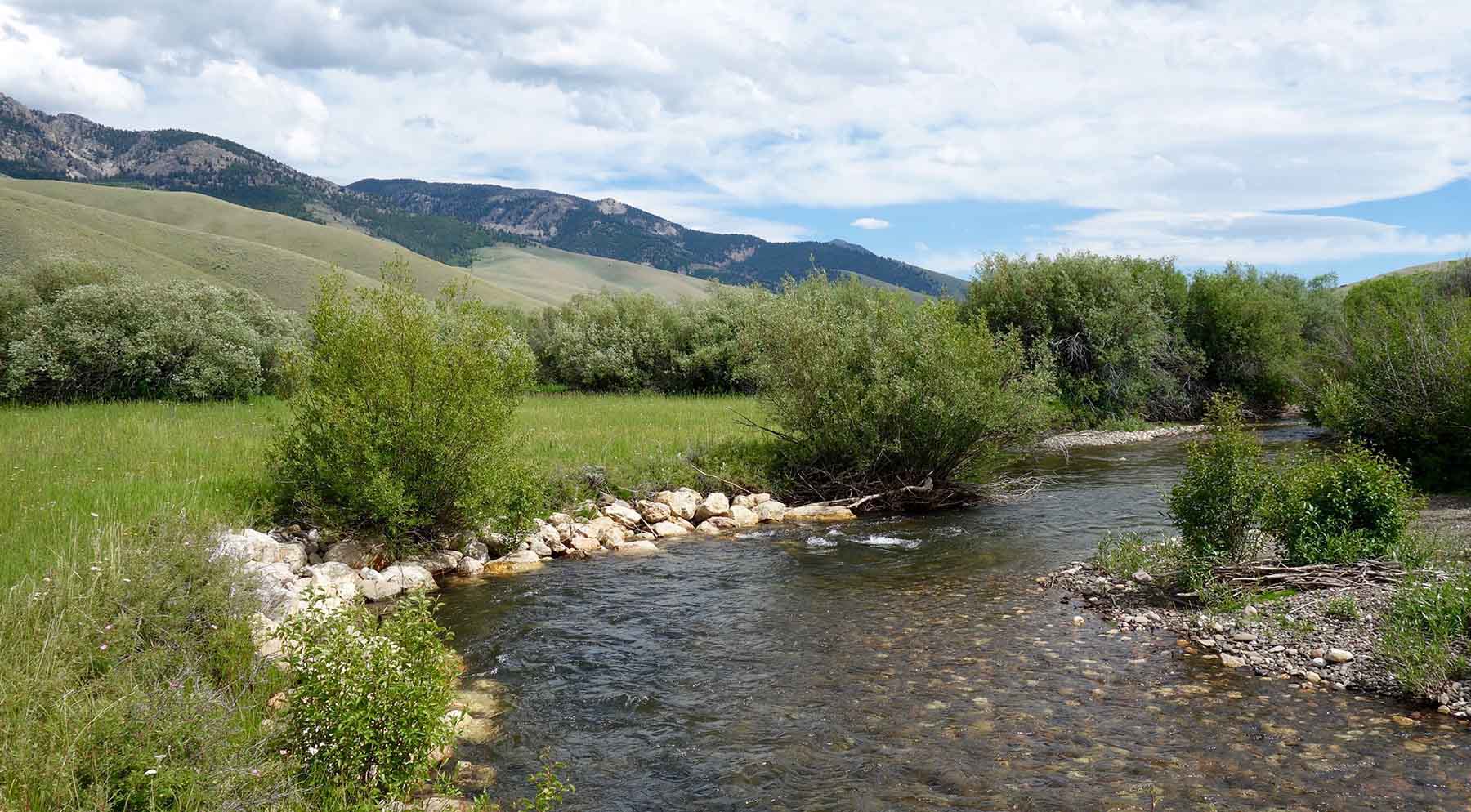 Lower Sawmill Creek Ranch property picture 5 of 26