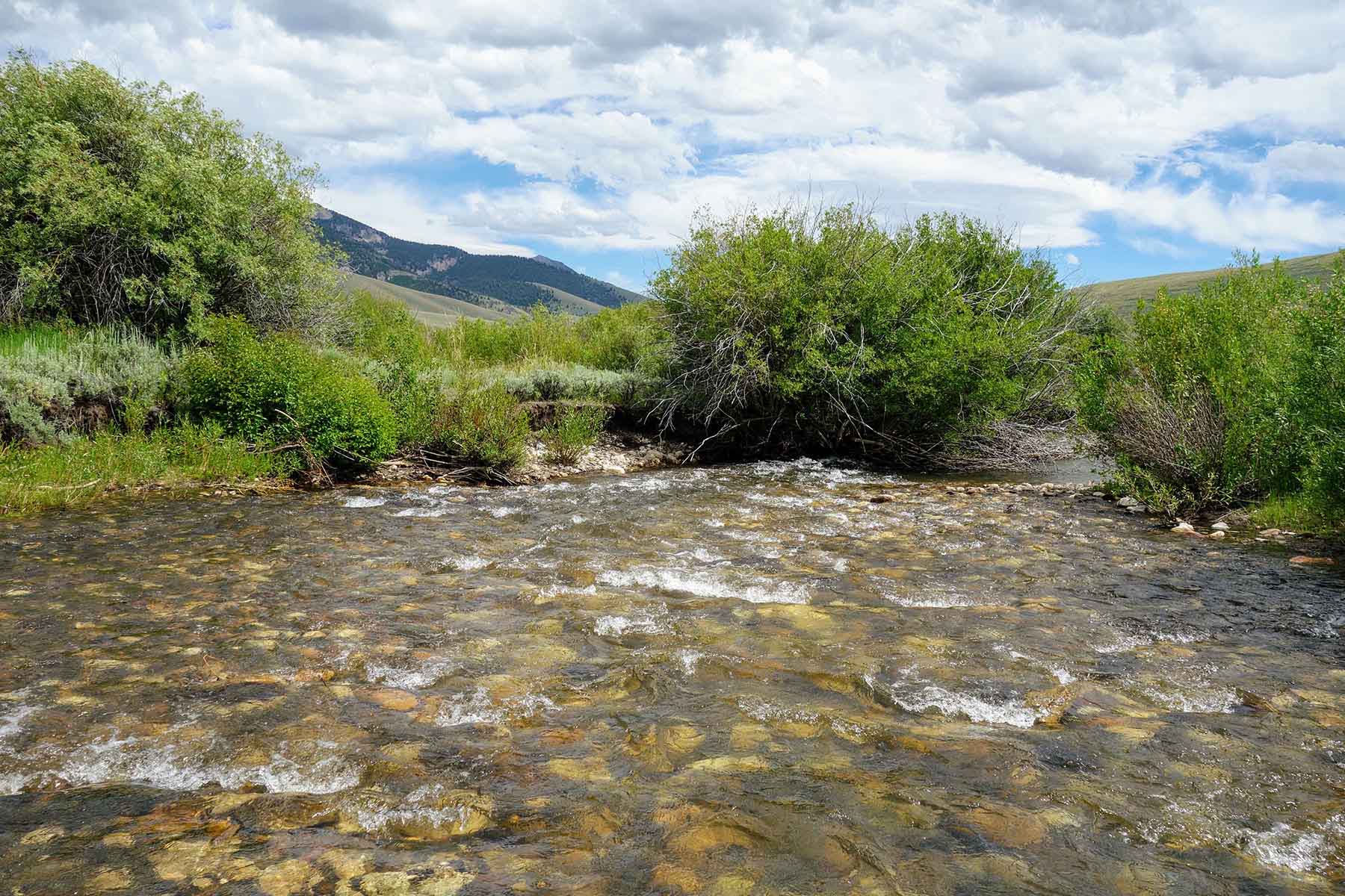 Lower Sawmill Creek Ranch property picture 23 of 26