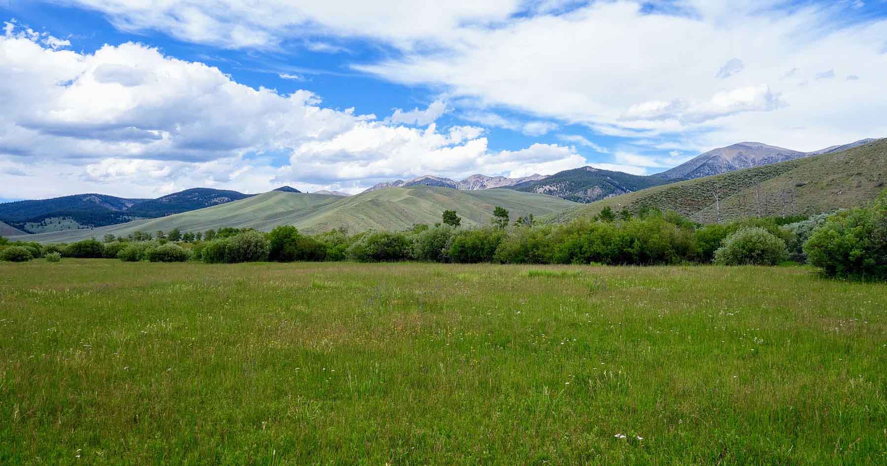 Lower Sawmill Creek Ranch property picture 26 of 26