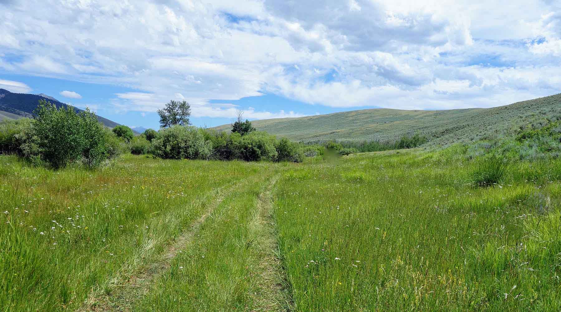 Lower Sawmill Creek Ranch property picture 24 of 26