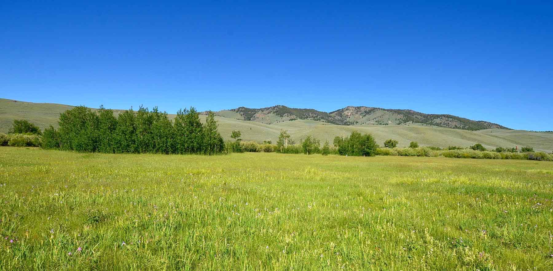 Lower Sawmill Creek Ranch property picture 9 of 26