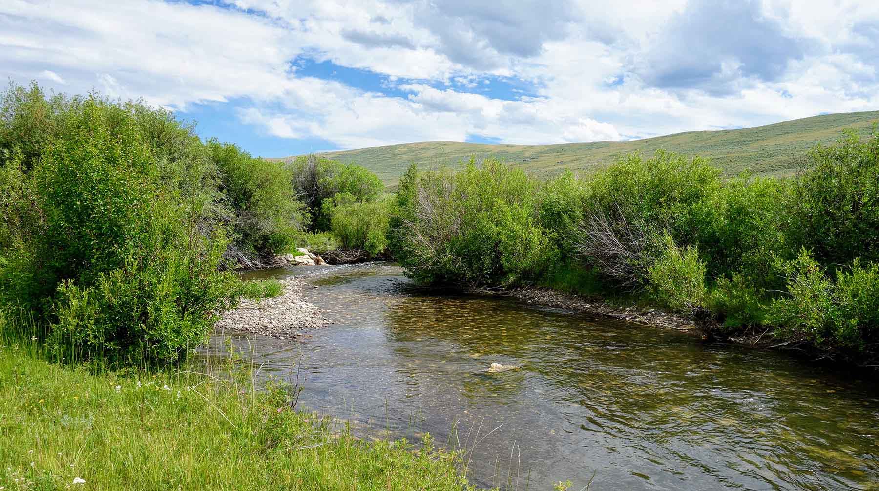 Lower Sawmill Creek Ranch property picture 22 of 26