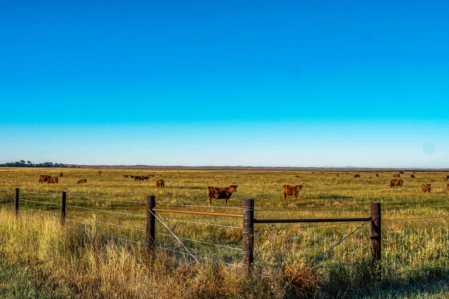 Niobrara River Ranch Sold Nebraska Hall and Hall