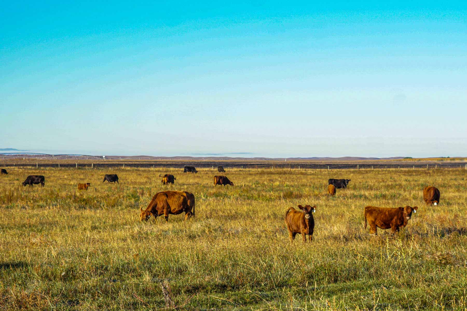 Niobrara River Ranch property picture 74 of 94