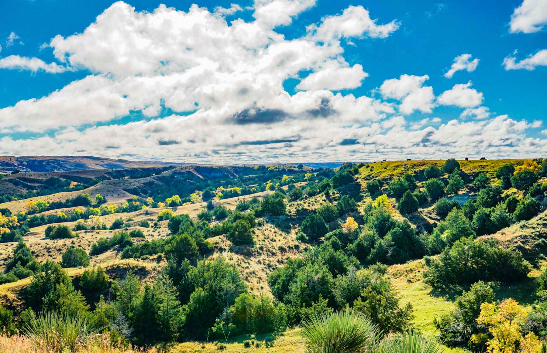 Niobrara River Ranch property picture 41 of 94