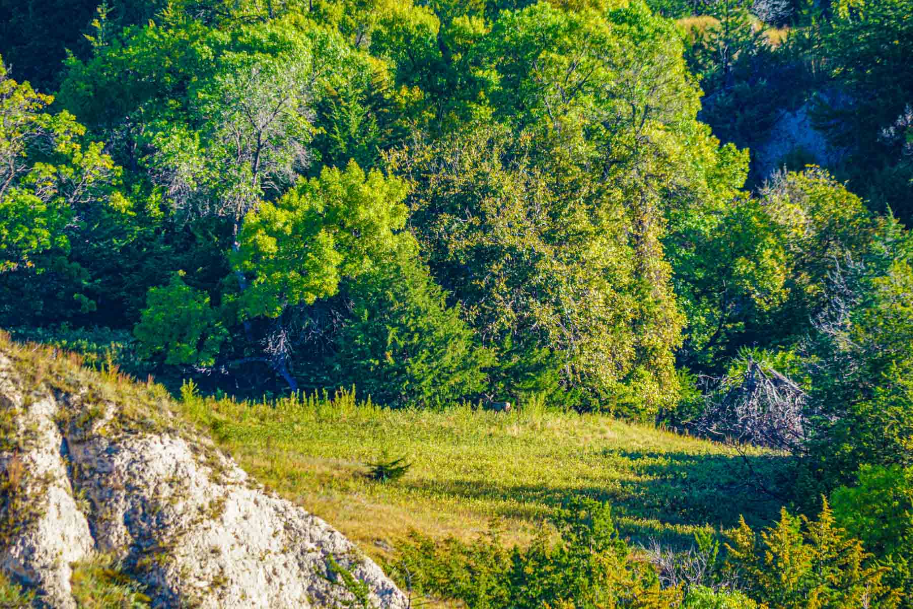 Niobrara River Ranch property picture 62 of 94