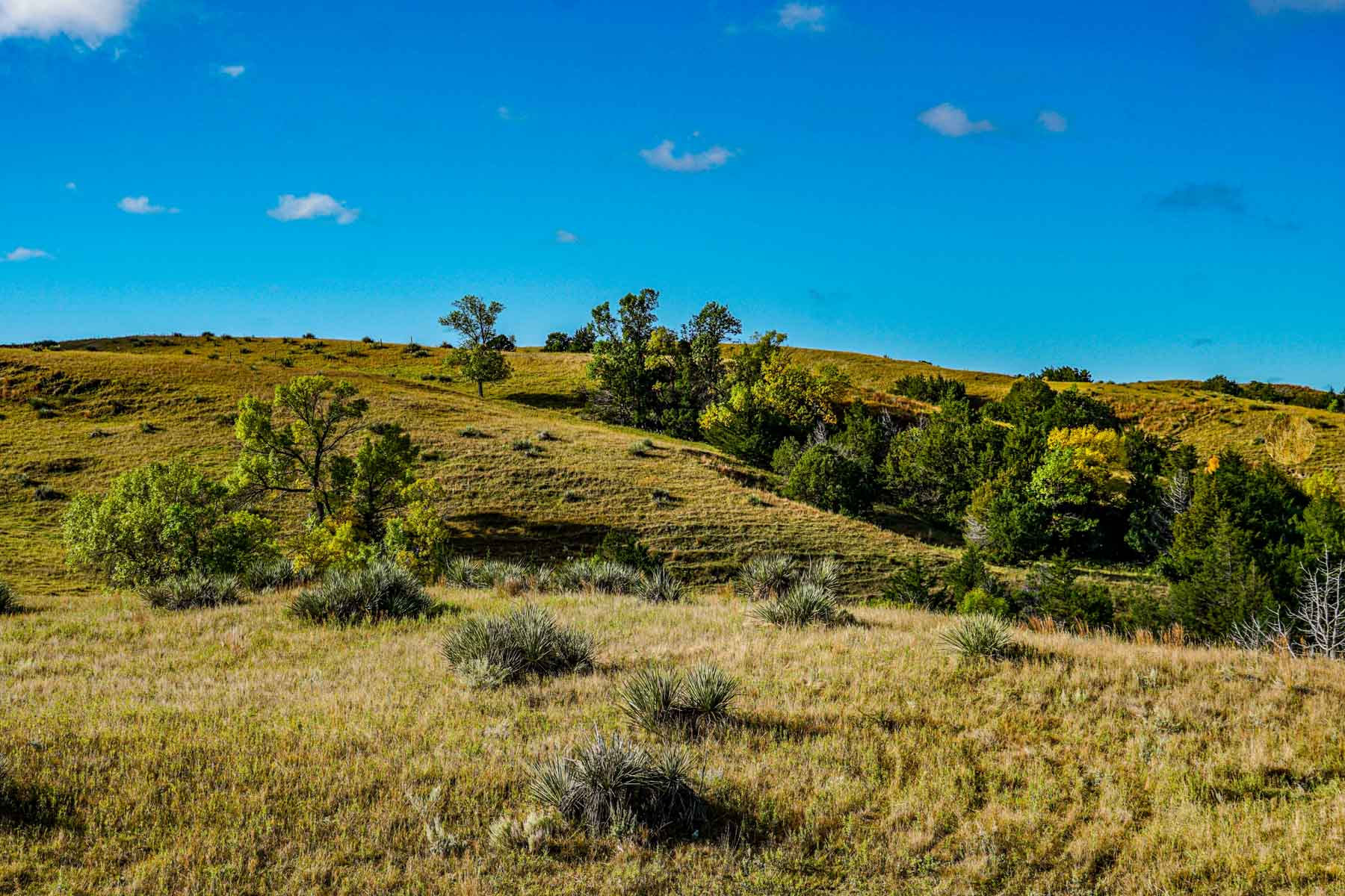 Niobrara River Ranch Sold Nebraska Hall and Hall