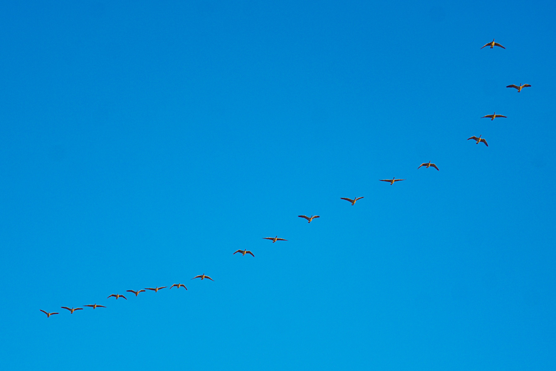 Niobrara River Ranch property picture 75 of 94