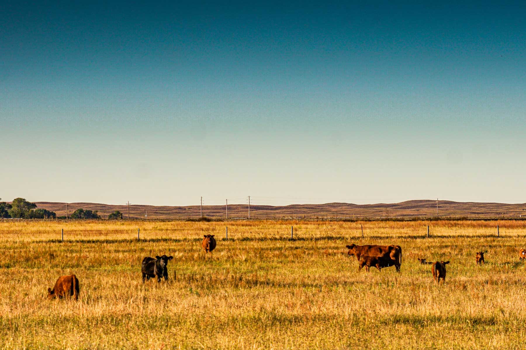 Niobrara River Ranch property picture 64 of 94