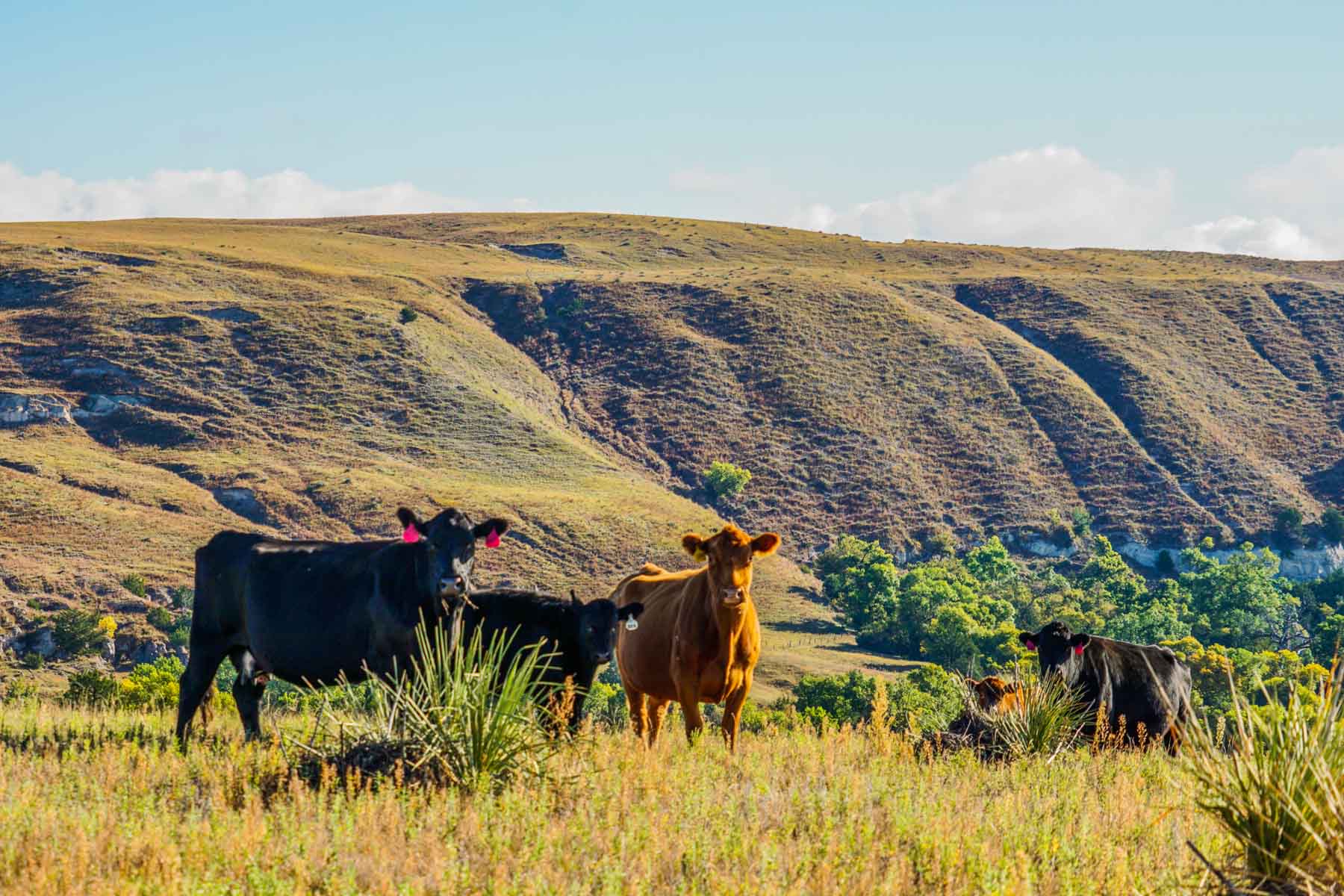 Niobrara River Ranch property picture 11 of 94