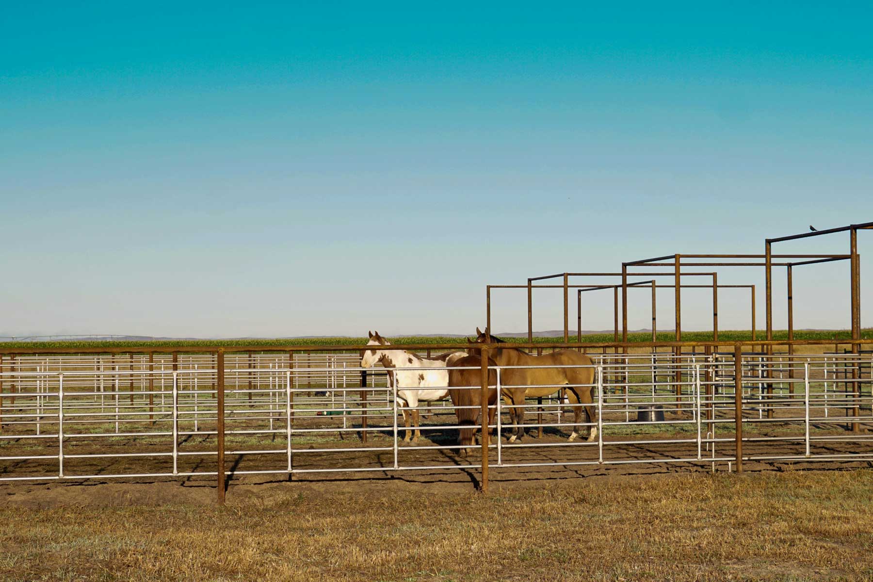 Niobrara River Ranch property picture 71 of 94