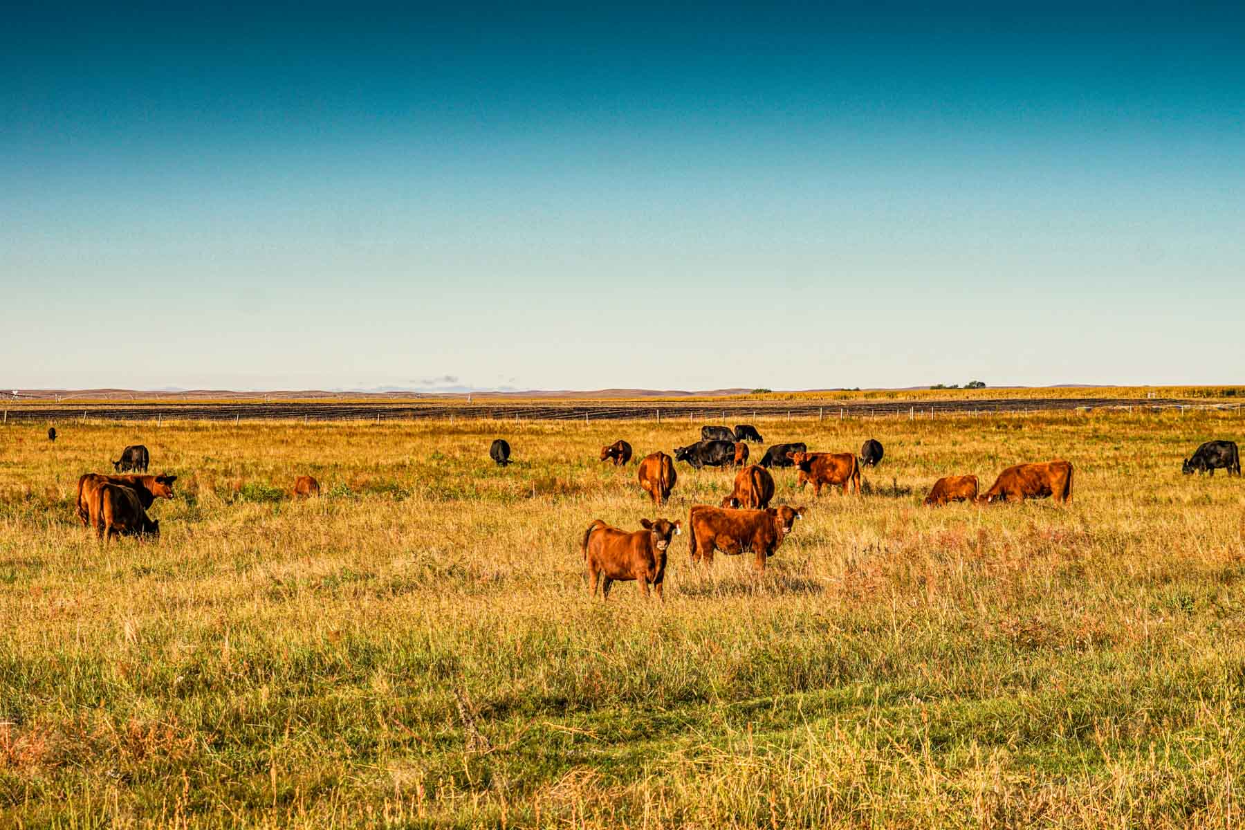 Niobrara River Ranch property picture 66 of 94