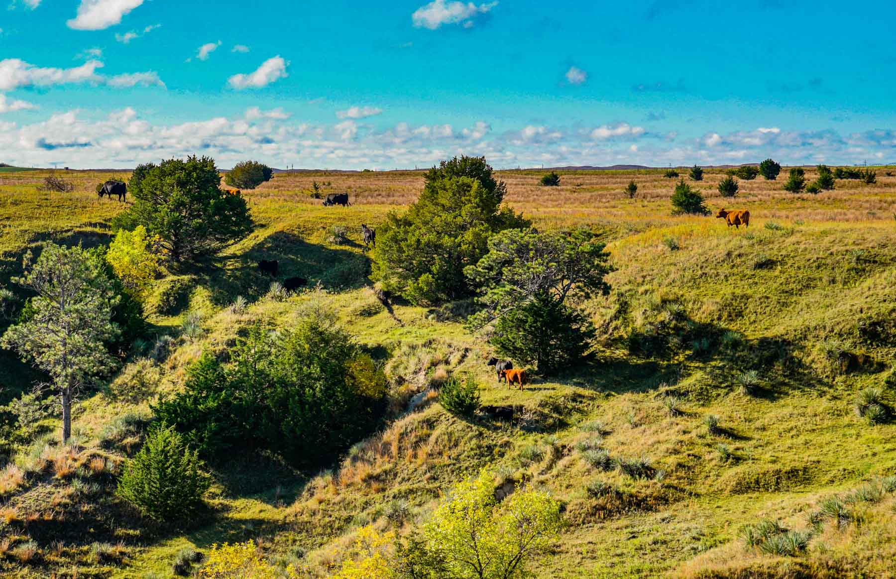 Niobrara River Ranch Sold Nebraska Hall and Hall