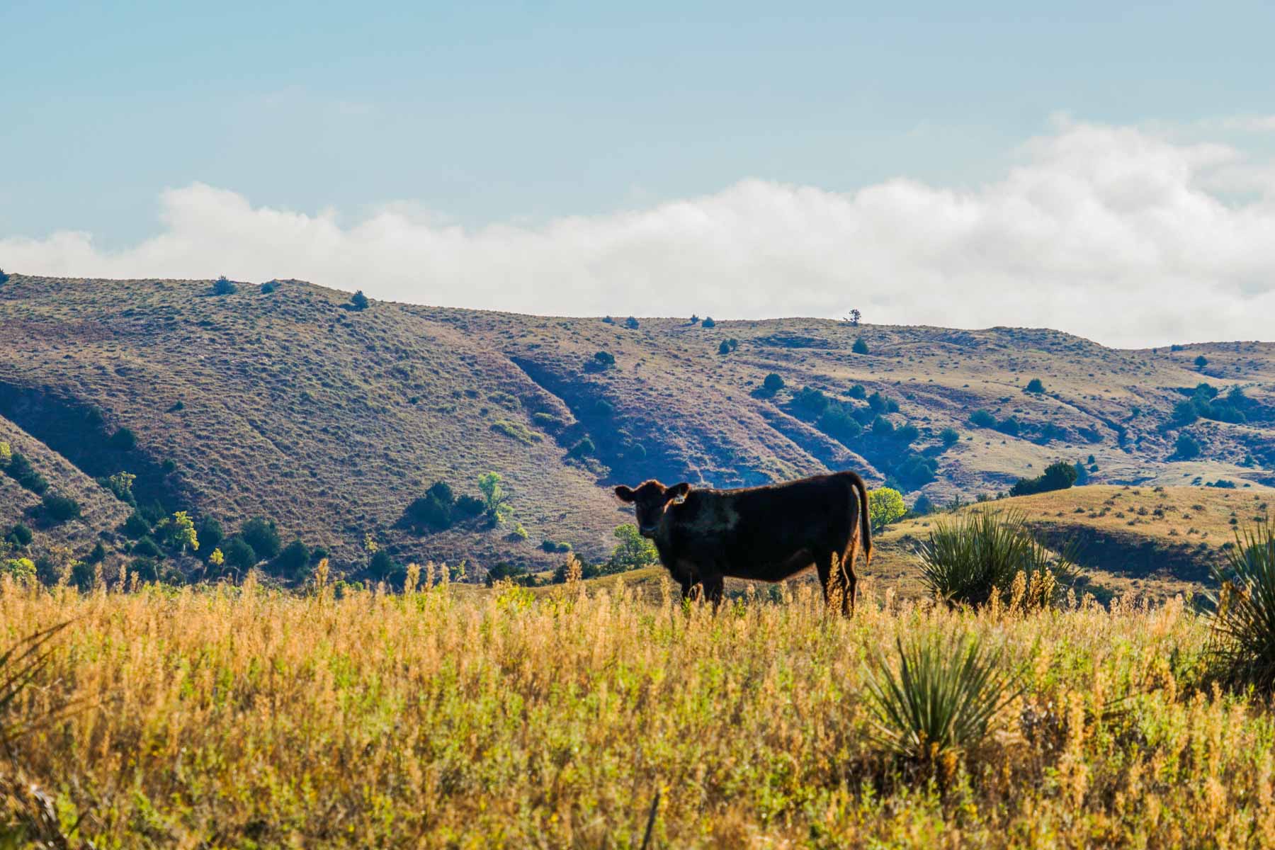 Niobrara River Ranch property picture 50 of 94