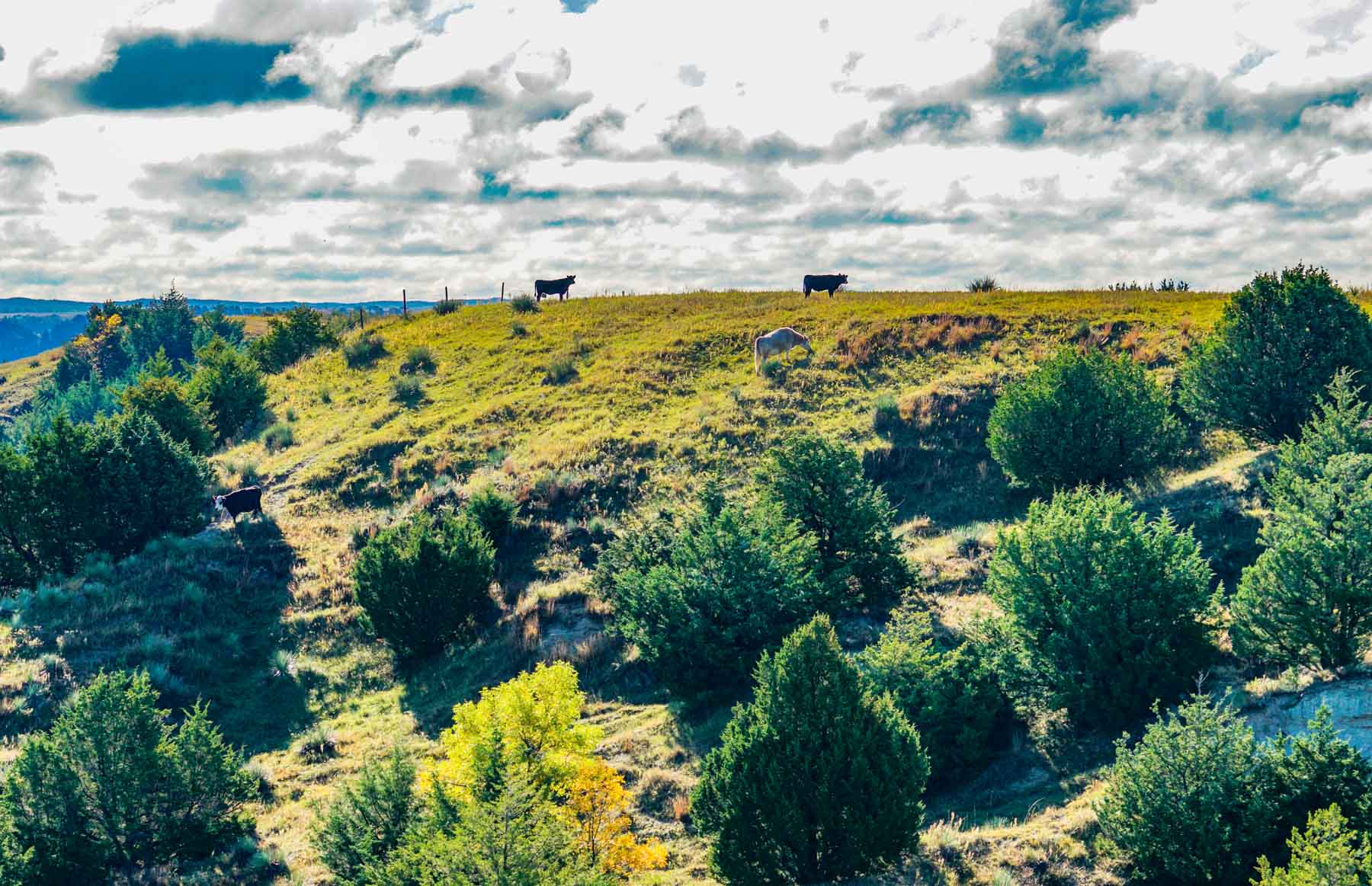 Niobrara River Ranch property picture 43 of 94