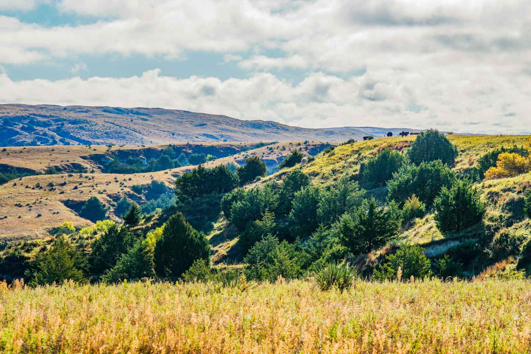 Niobrara River Ranch property picture 48 of 94