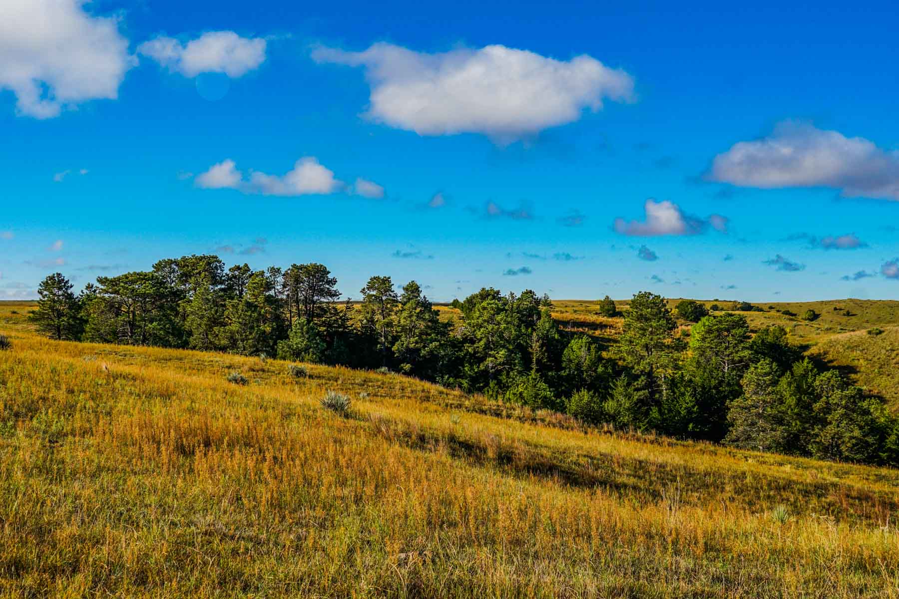 Niobrara River Ranch property picture 49 of 94