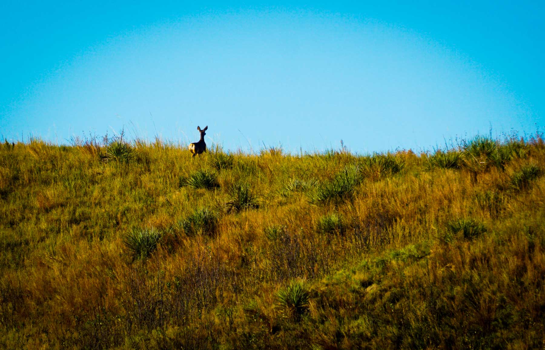 Niobrara River Ranch property picture 55 of 94
