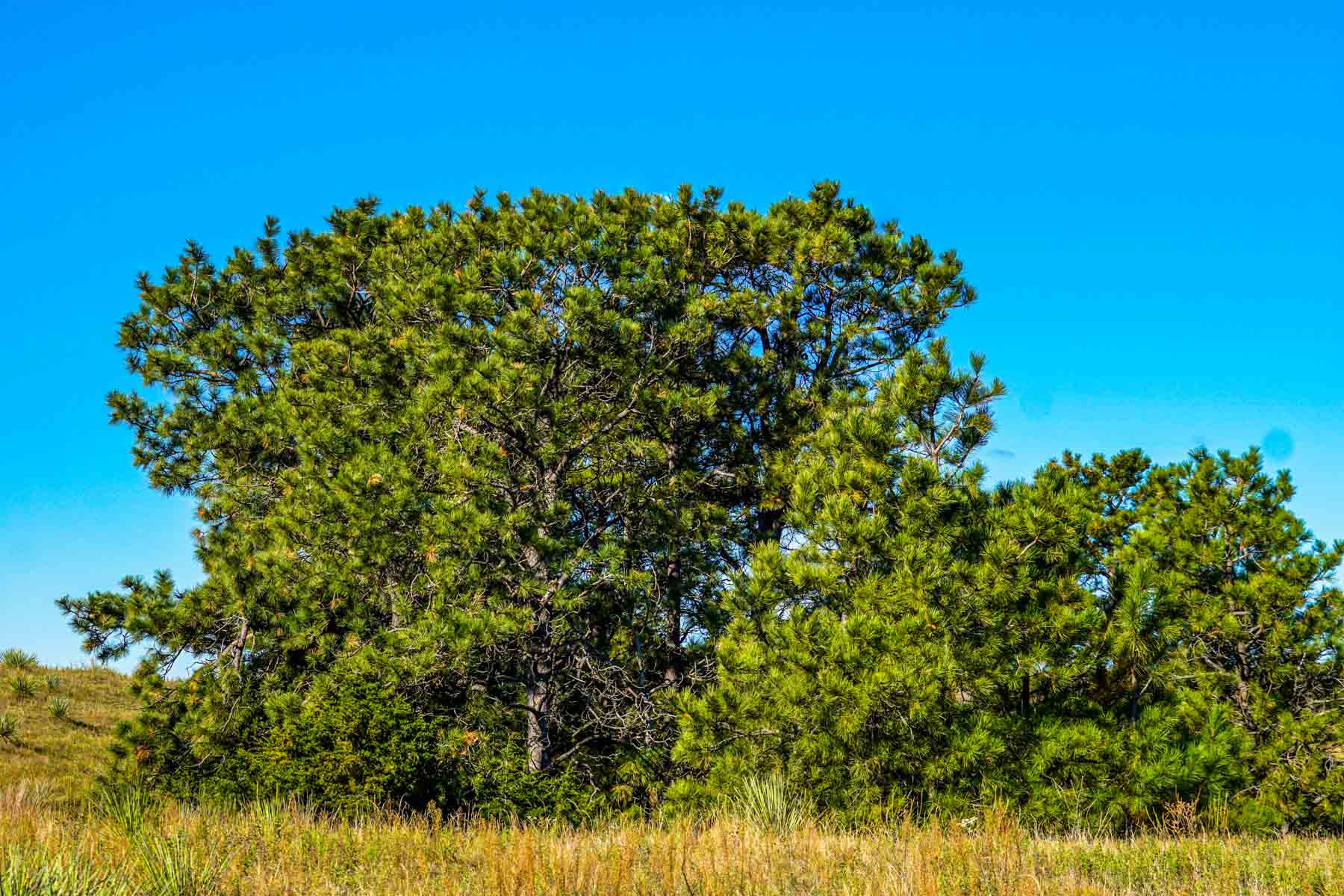 Niobrara River Ranch property picture 19 of 94