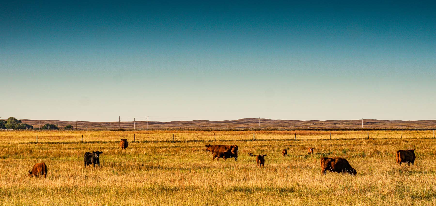 Niobrara River Ranch property picture 33 of 94
