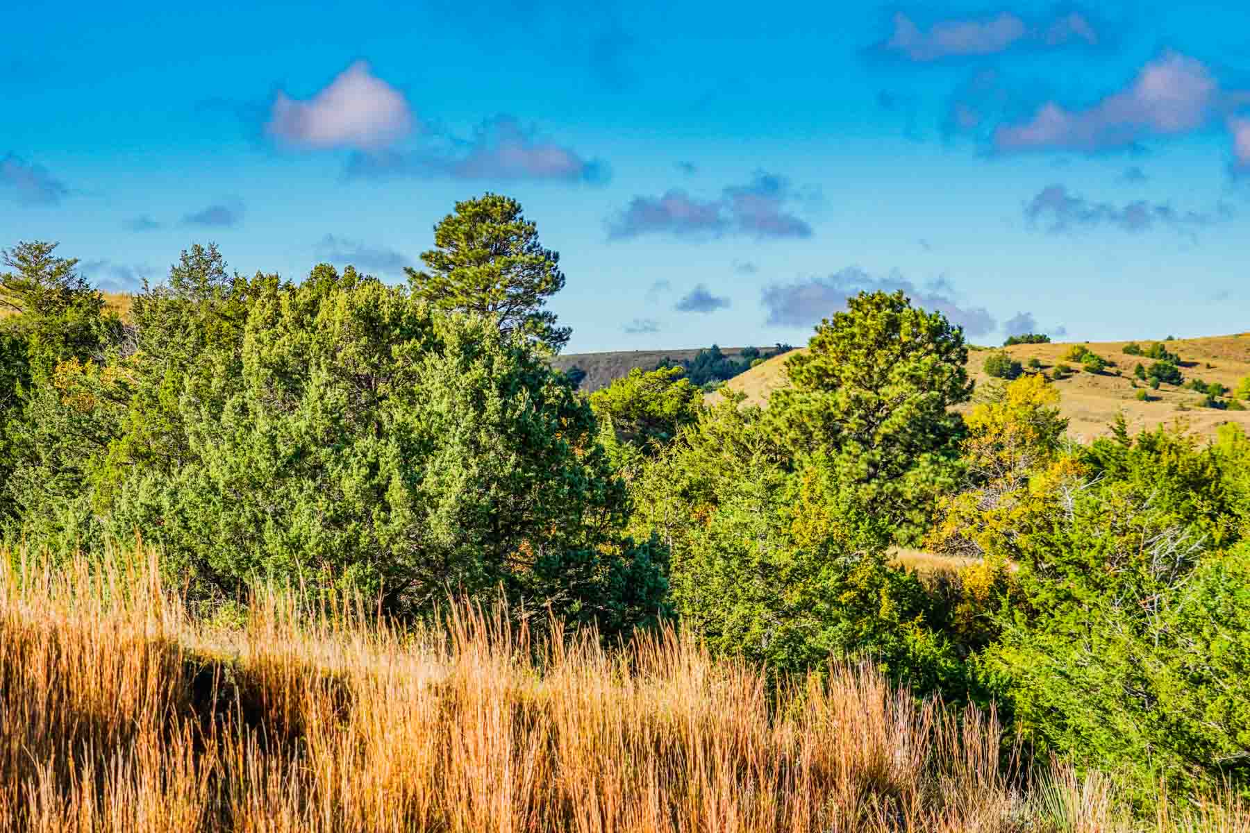 Niobrara River Ranch property picture 12 of 94