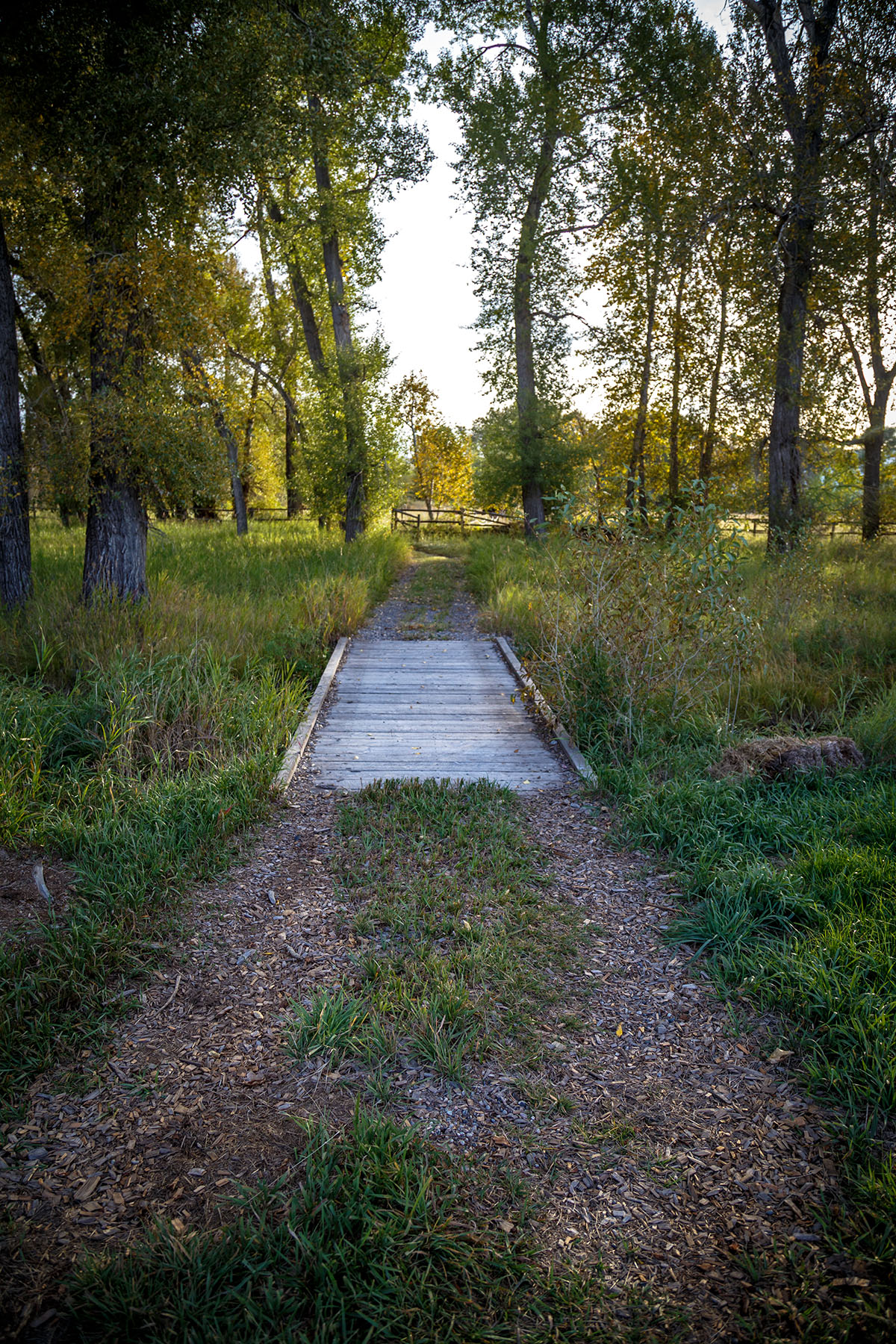 North Meadow Creek Ranch property picture 45 of 57