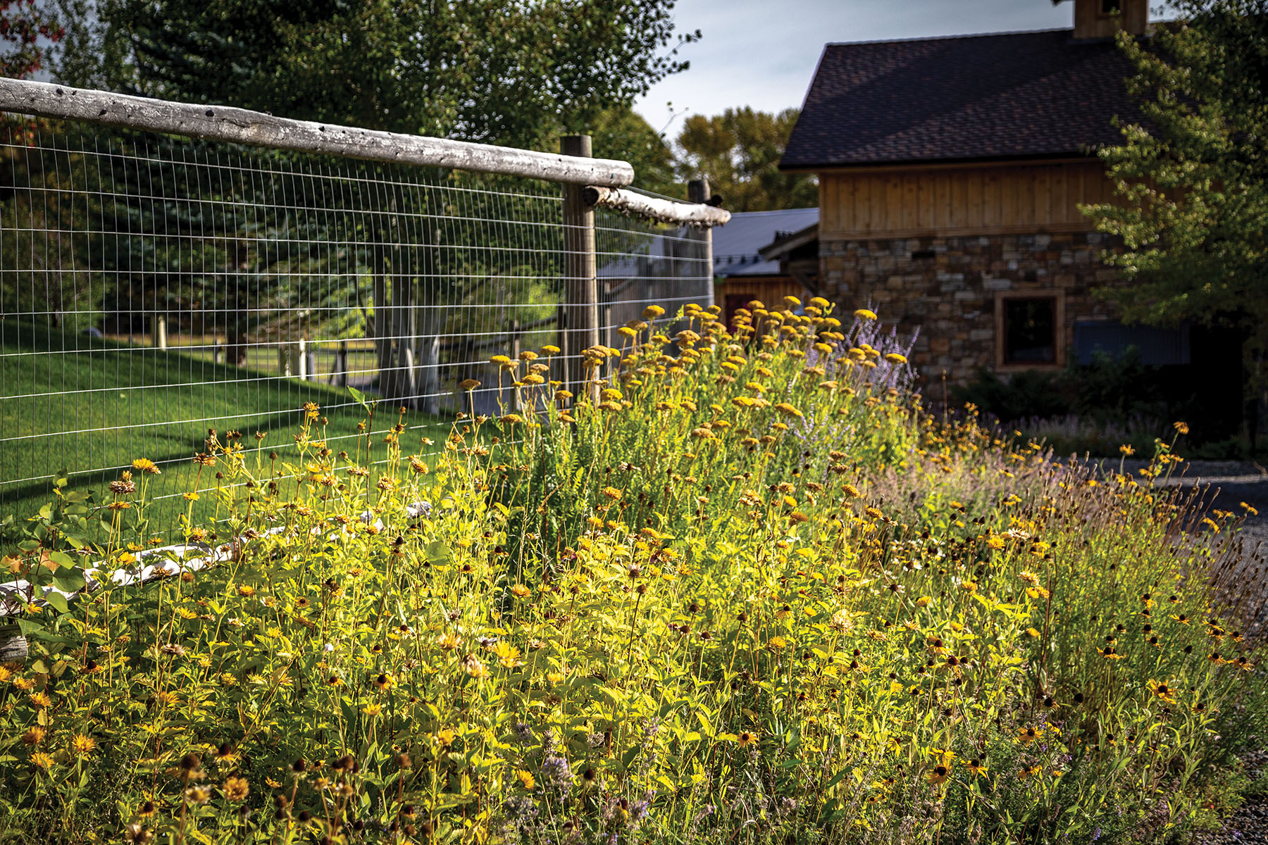North Meadow Creek Ranch property picture 22 of 57