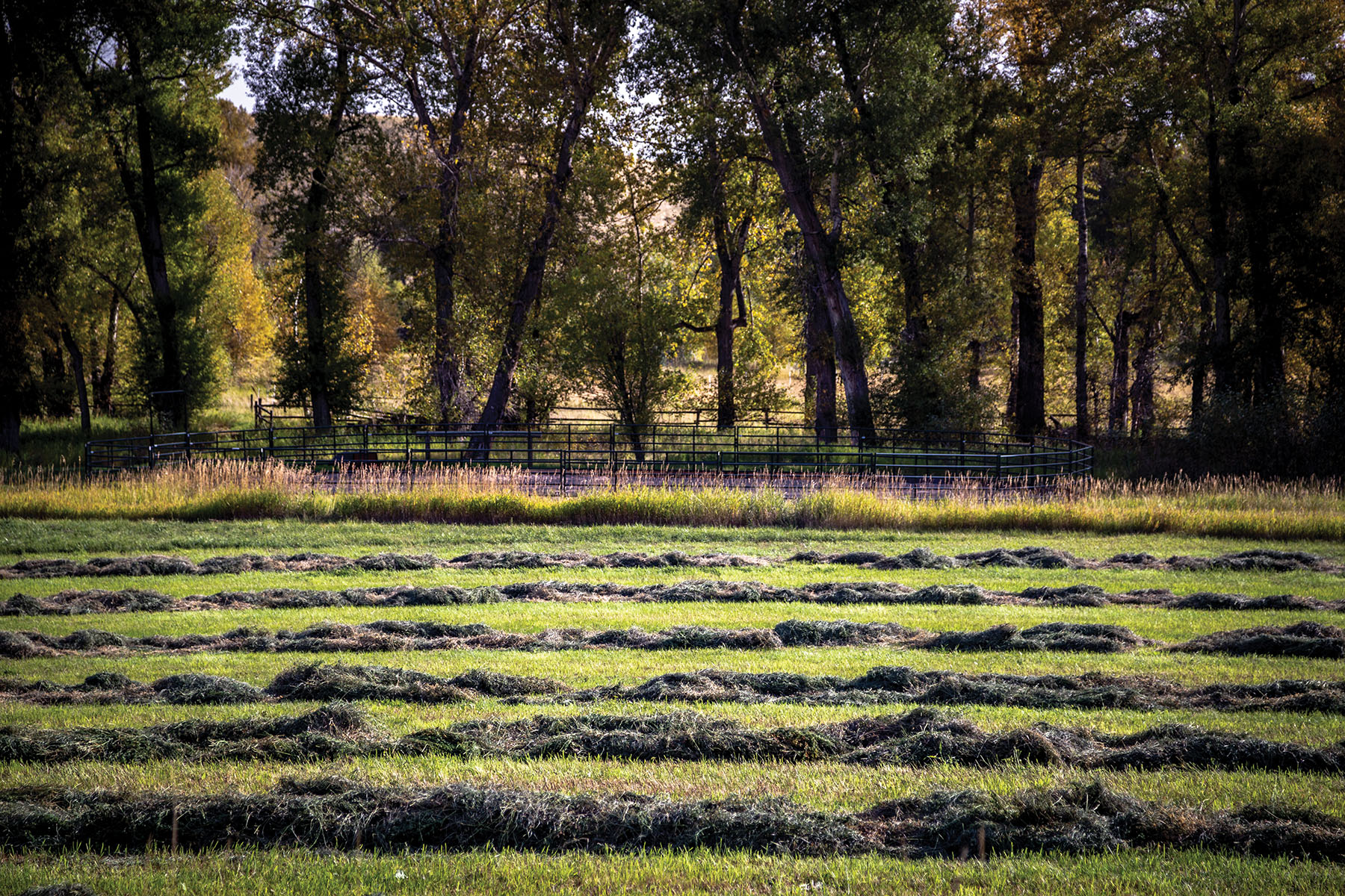North Meadow Creek Ranch property picture 57 of 57