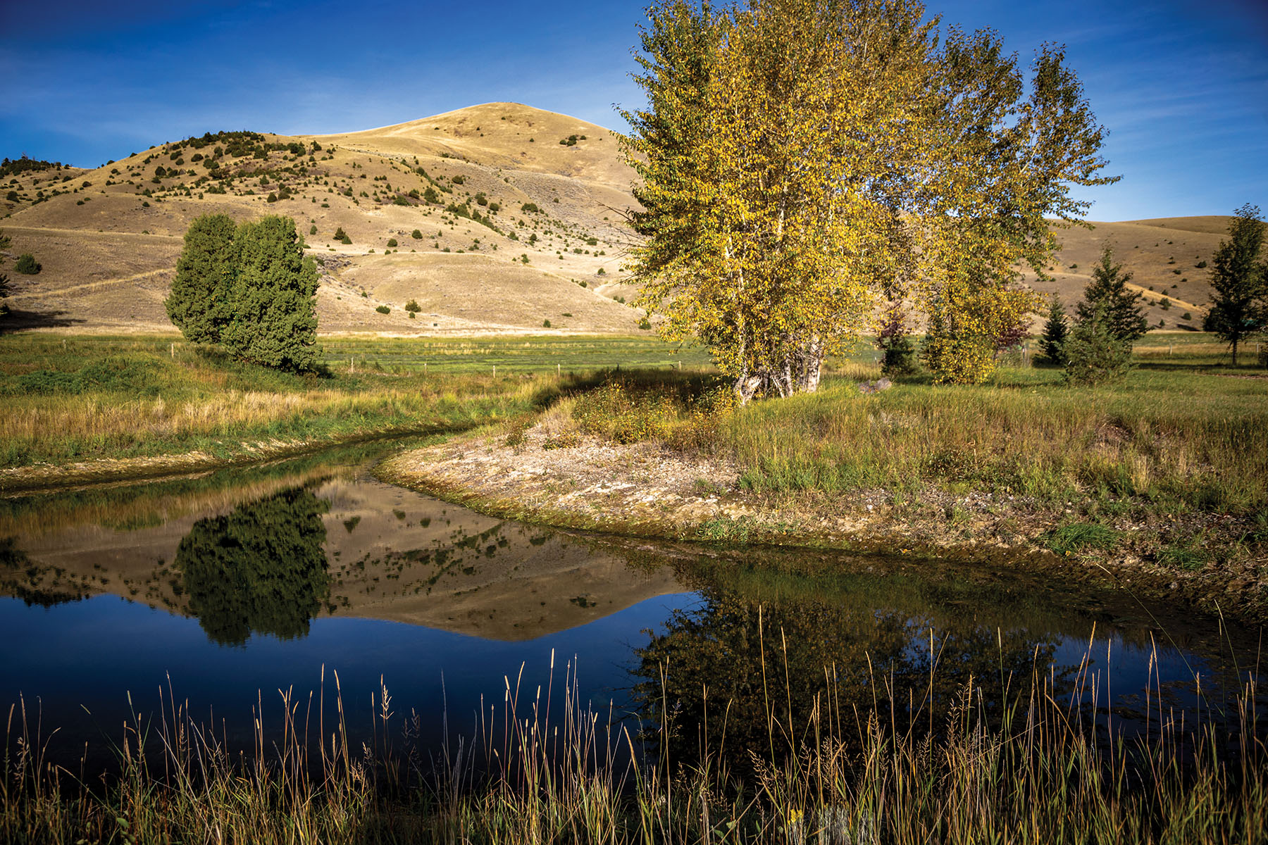 North Meadow Creek Ranch property picture 48 of 57
