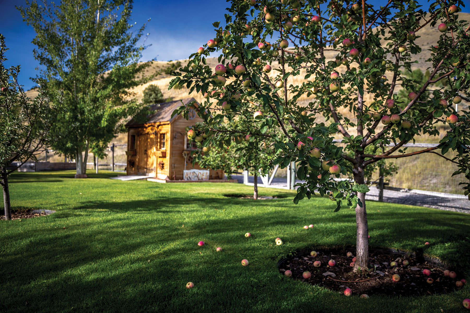 North Meadow Creek Ranch property picture 18 of 57