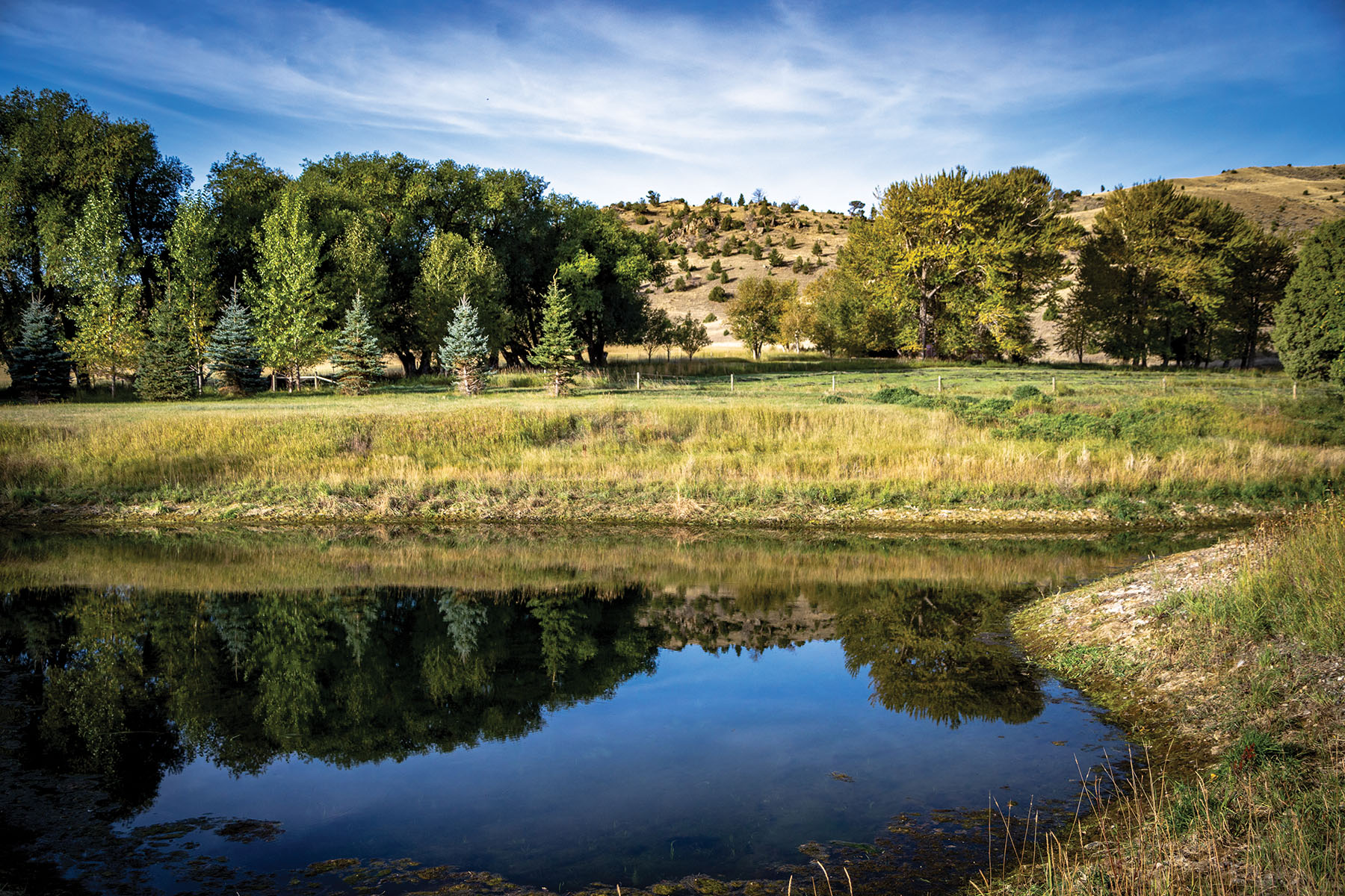 North Meadow Creek Ranch property picture 55 of 57