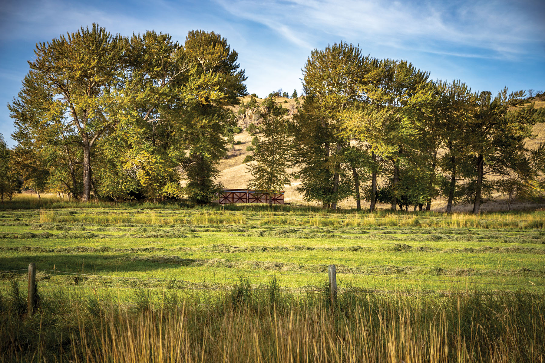 North Meadow Creek Ranch property picture 54 of 57