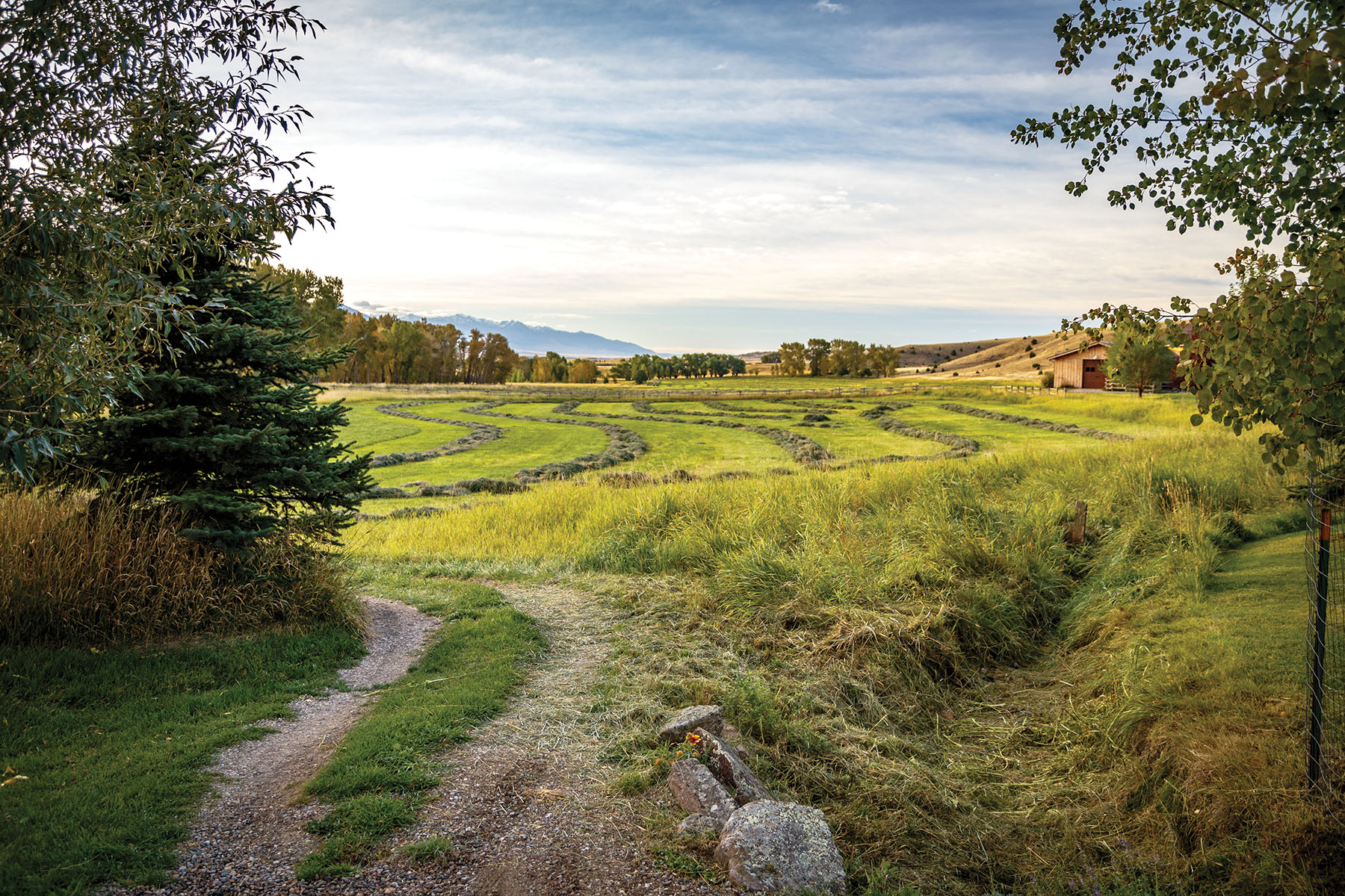 North Meadow Creek Ranch property picture 46 of 57