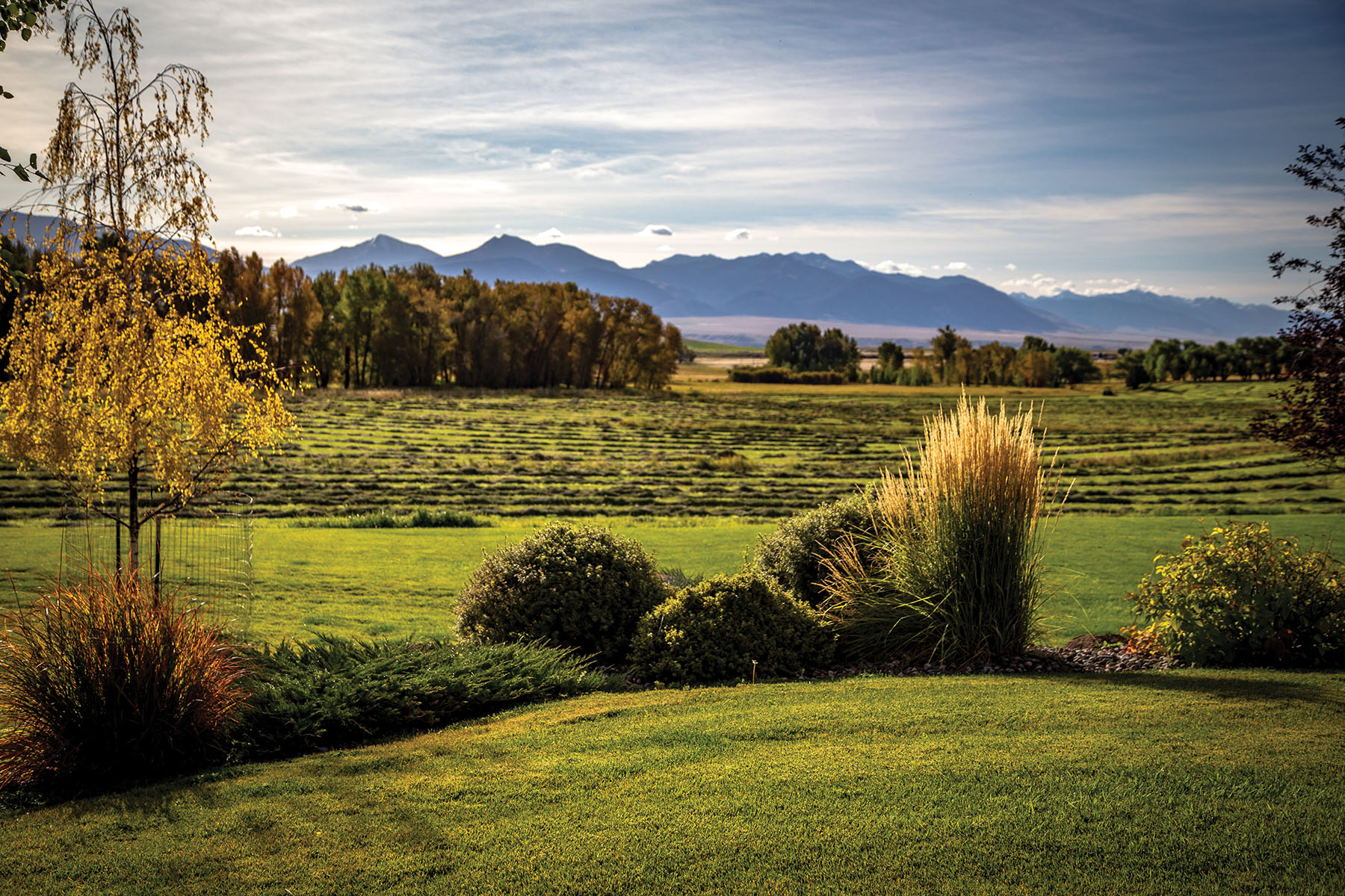 North Meadow Creek Ranch property picture 10 of 57