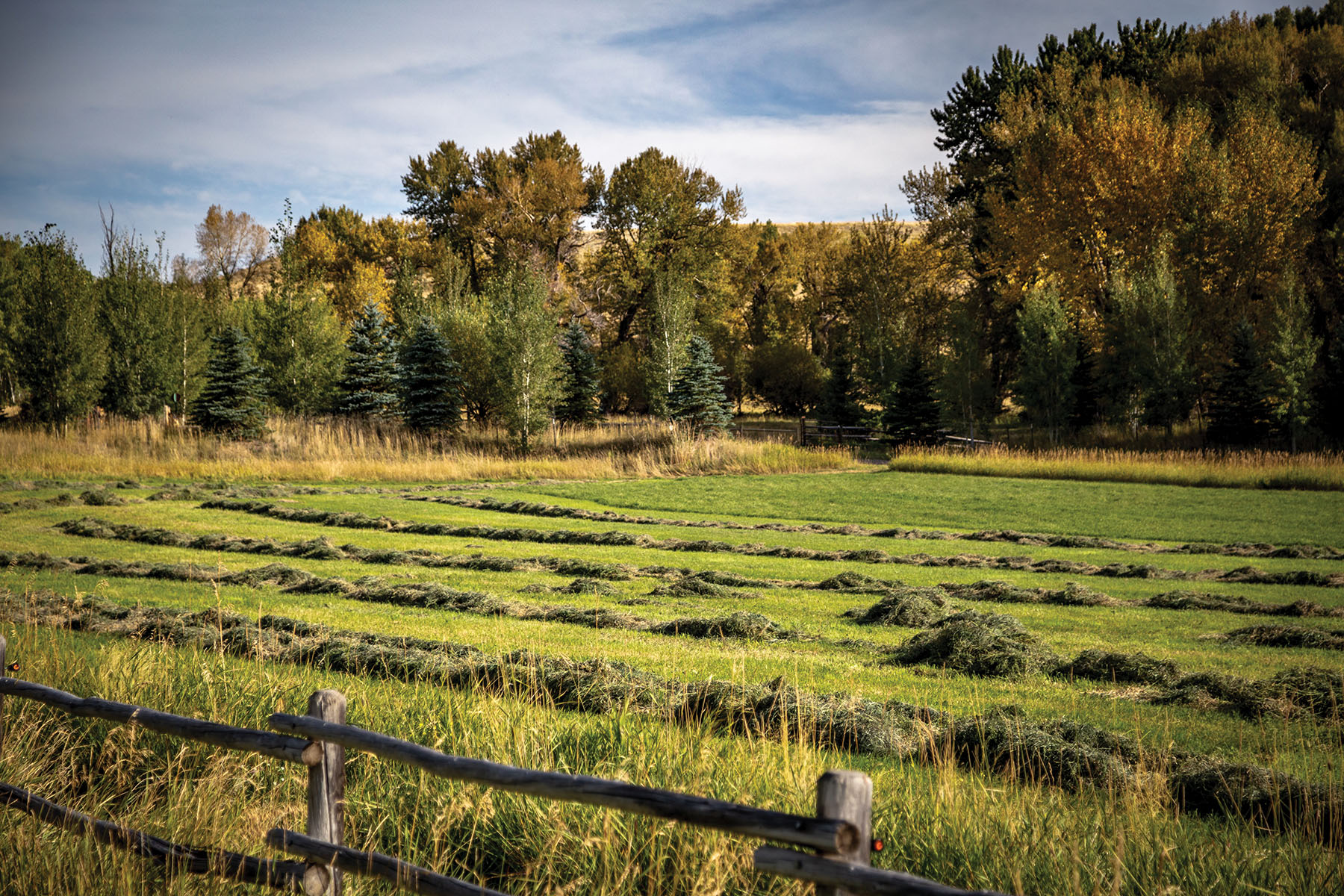 North Meadow Creek Ranch property picture 53 of 57