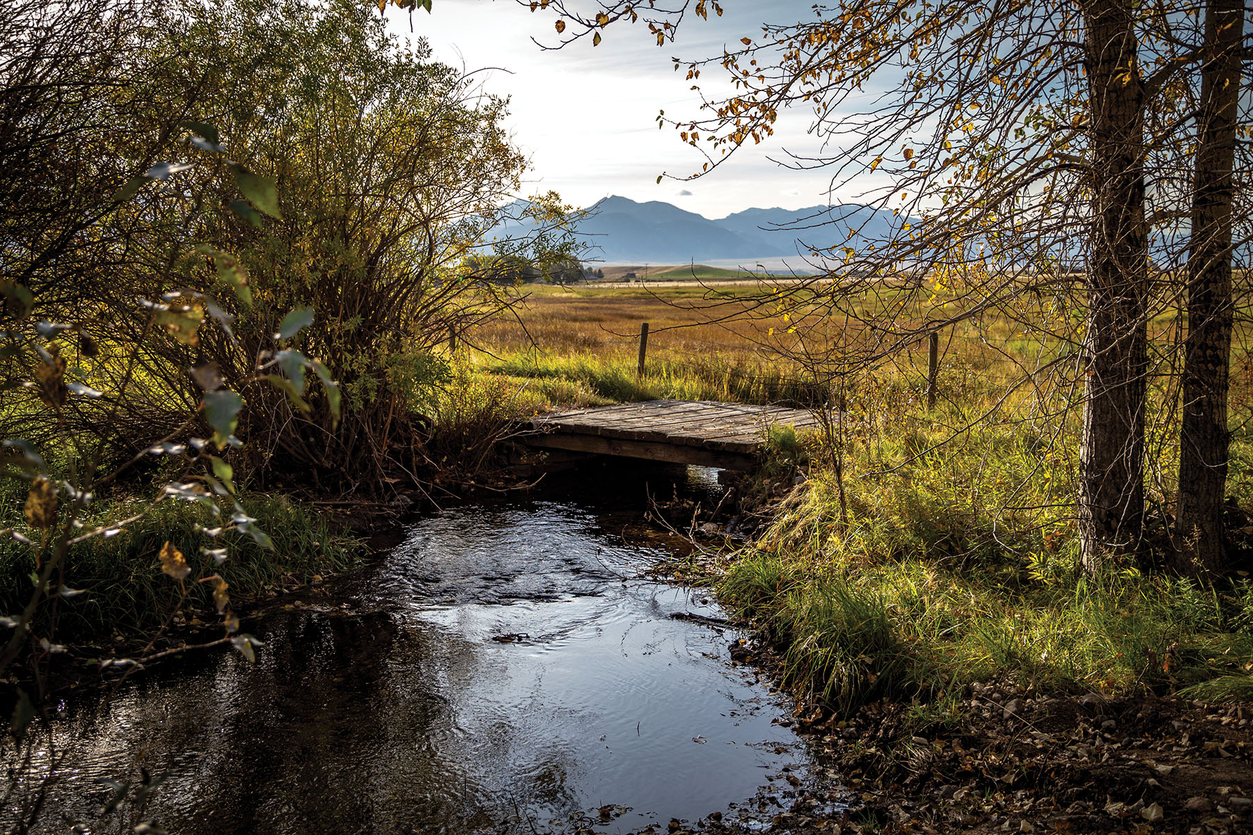 North Meadow Creek Ranch property picture 40 of 57