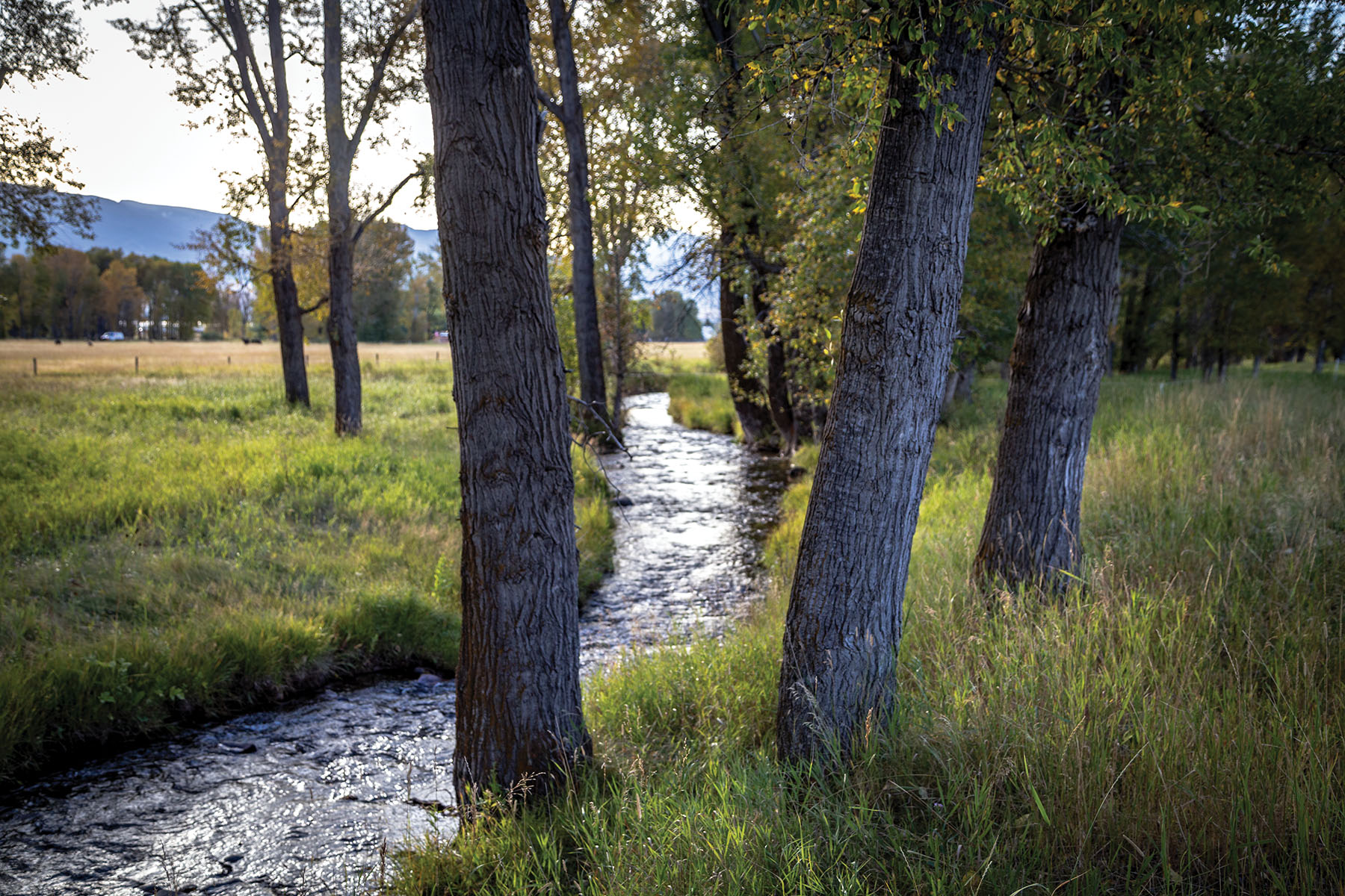 North Meadow Creek Ranch property picture 7 of 57