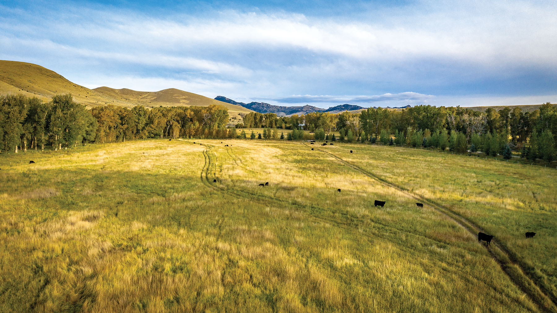 North Meadow Creek Ranch property picture 38 of 57