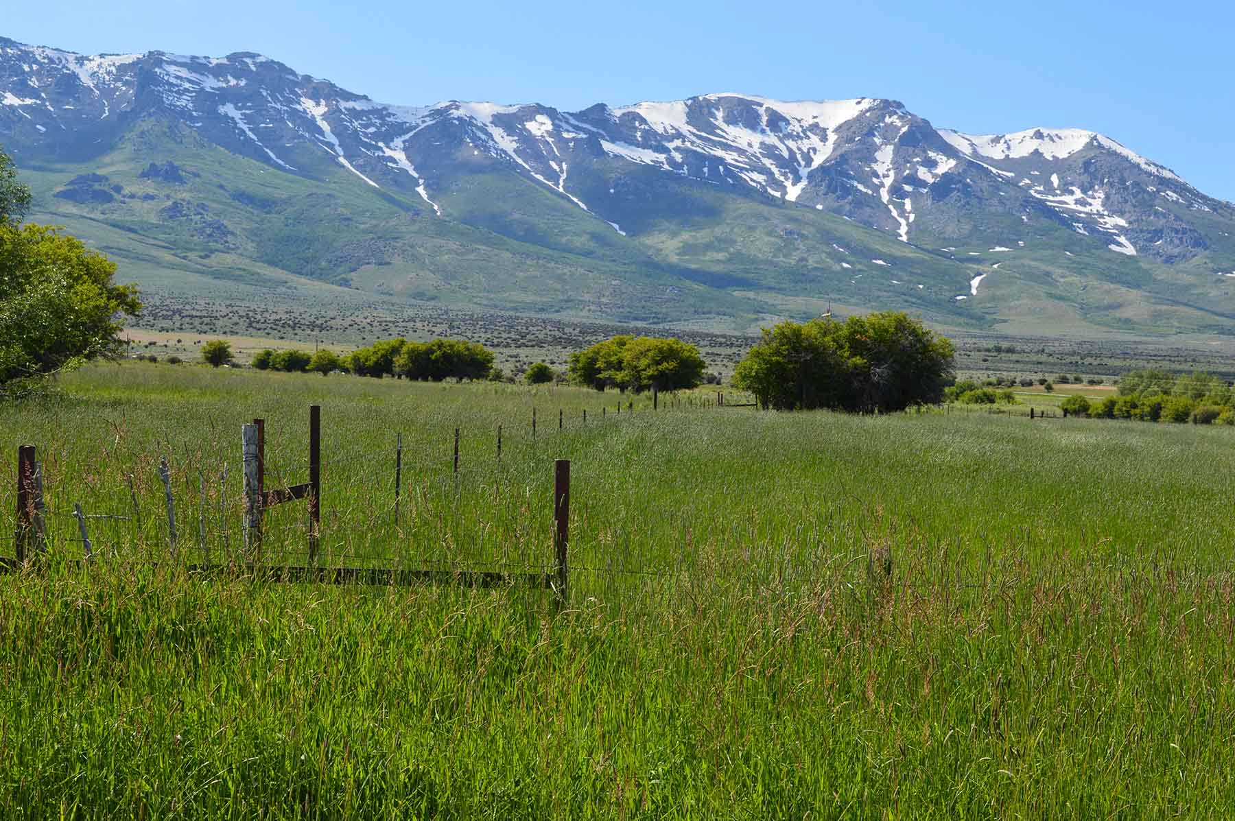 Clover Valley Ranch Sold Nevada Hall and Hall