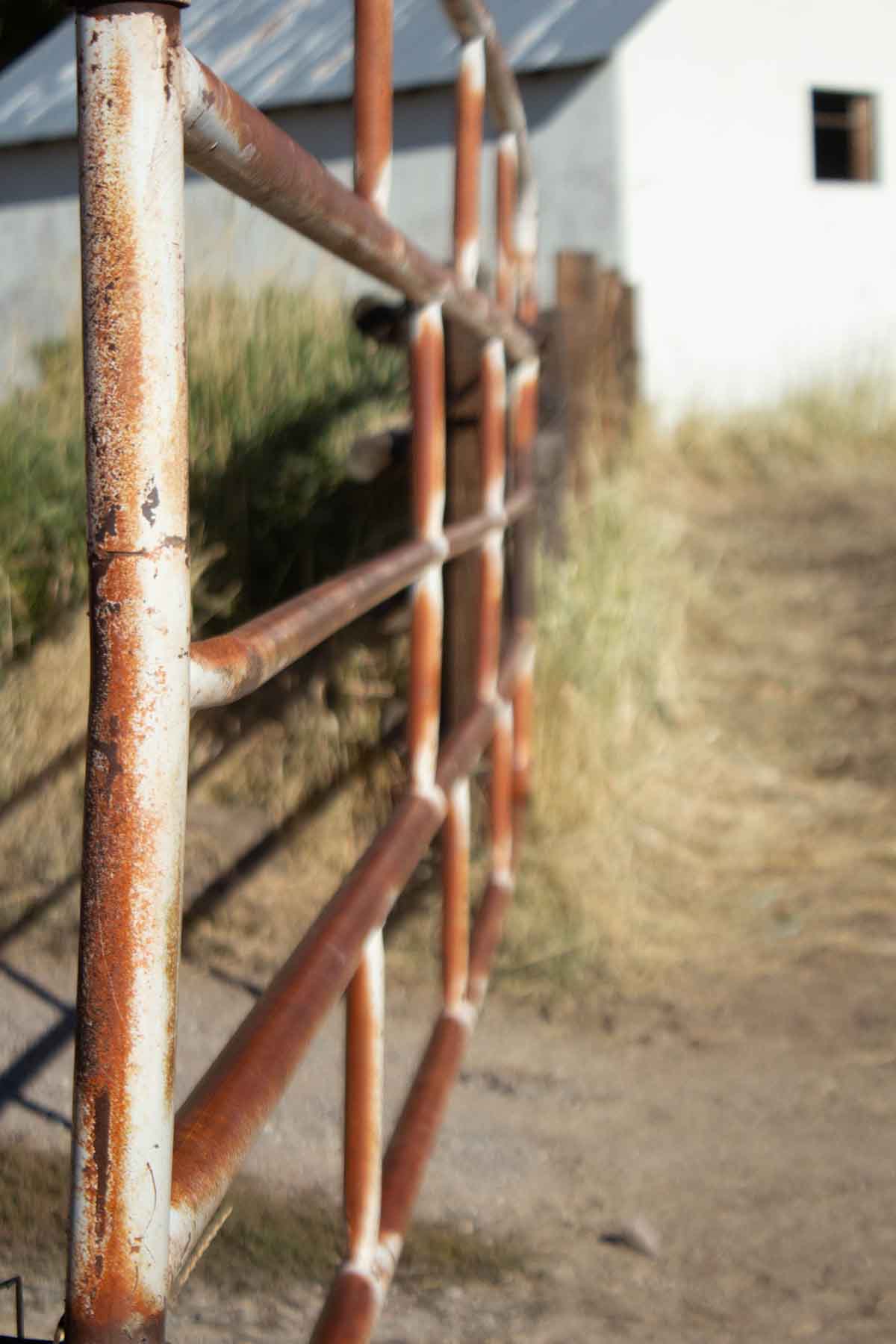 Clover Valley Ranch property picture 44 of 109