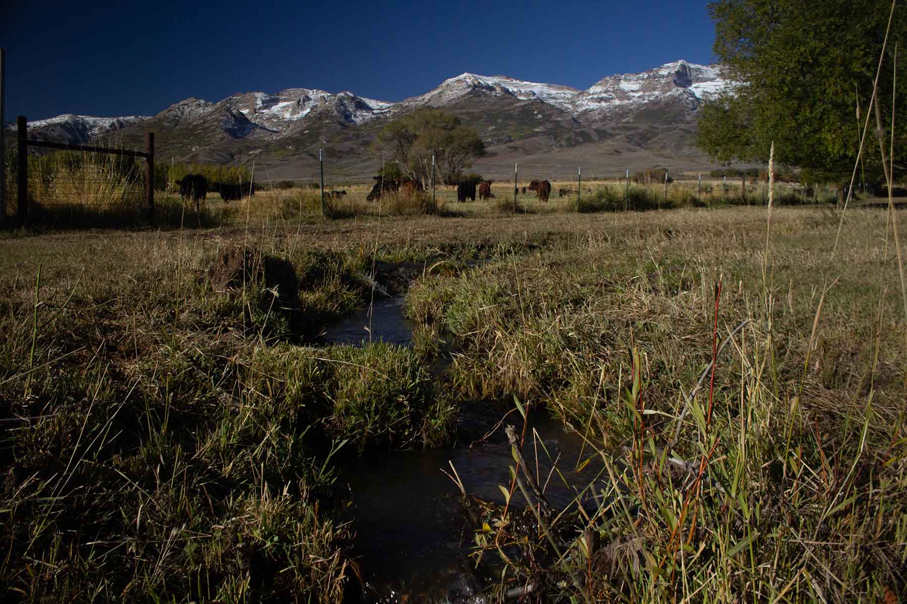 Clover Valley Ranch Sold Nevada Hall and Hall